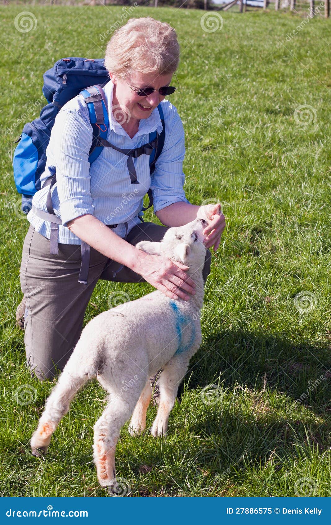 woman stroking a lamb