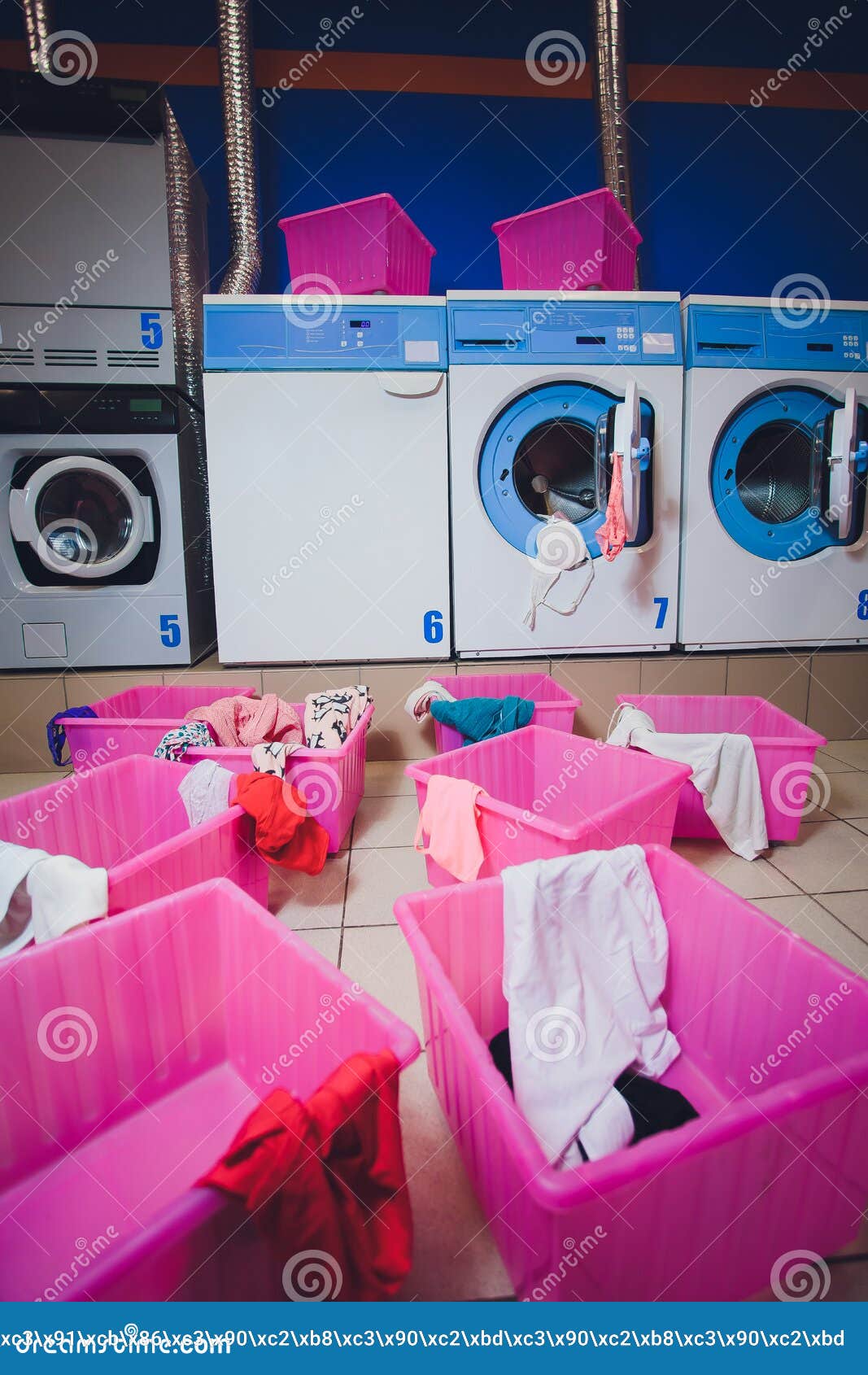 Woman Taking Color Clothes from Washing Machine. Stock Image Image of launderette, wash 154875001