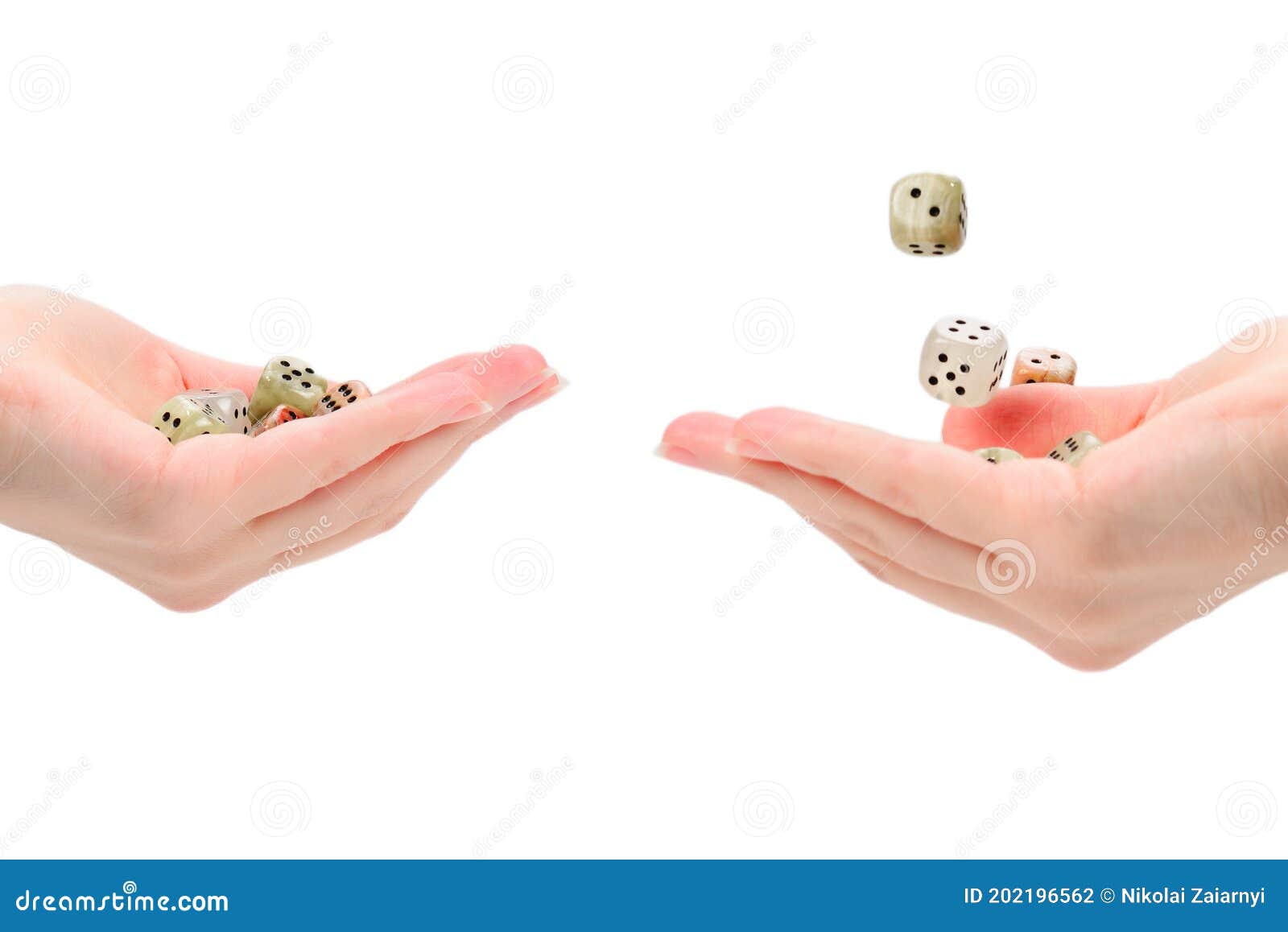 Woman Throws Dices Isolated on White Stock Photo Image of hand