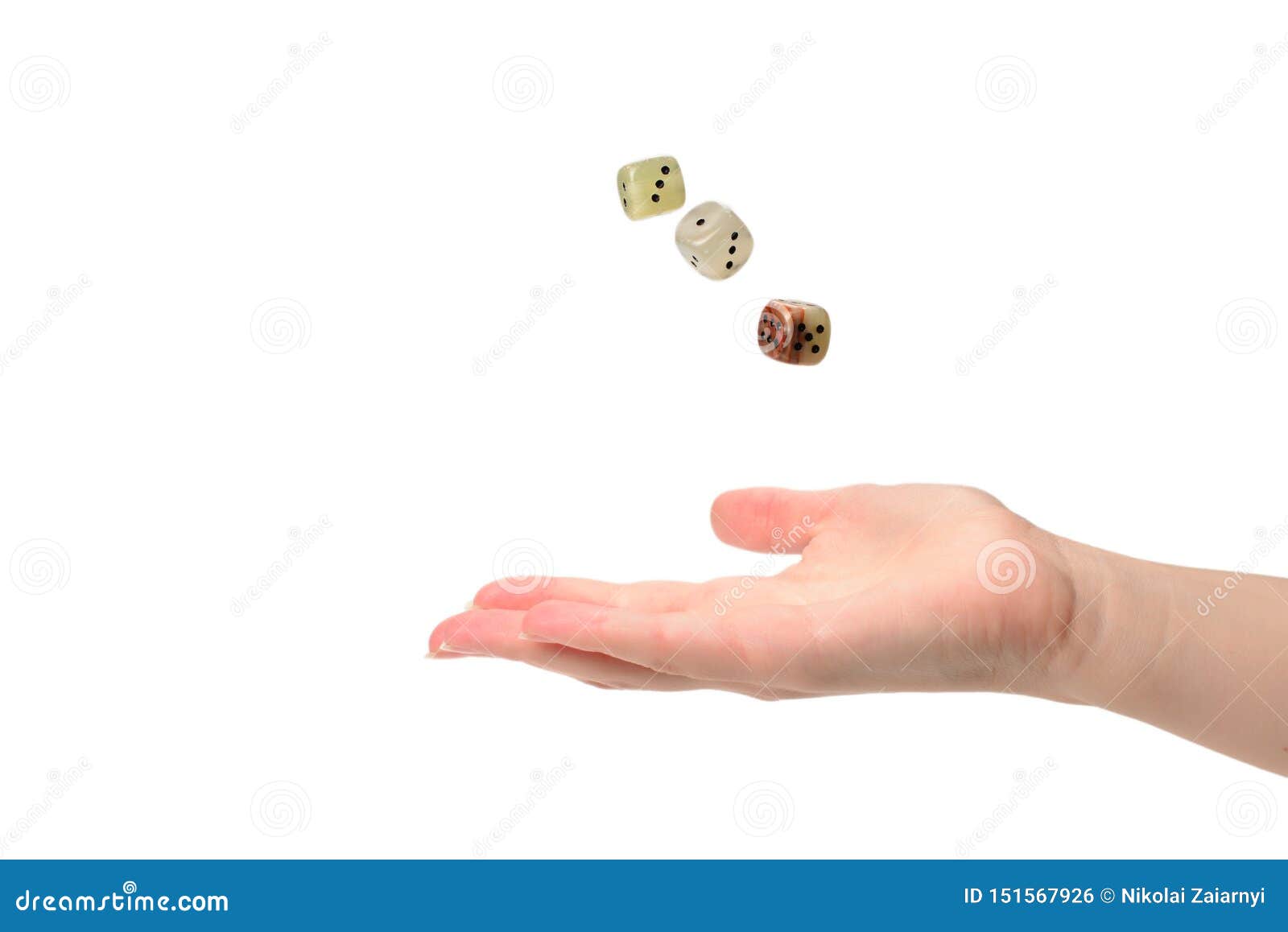 Woman Throws Dices Isolated on White Stock Photo Image of leisure