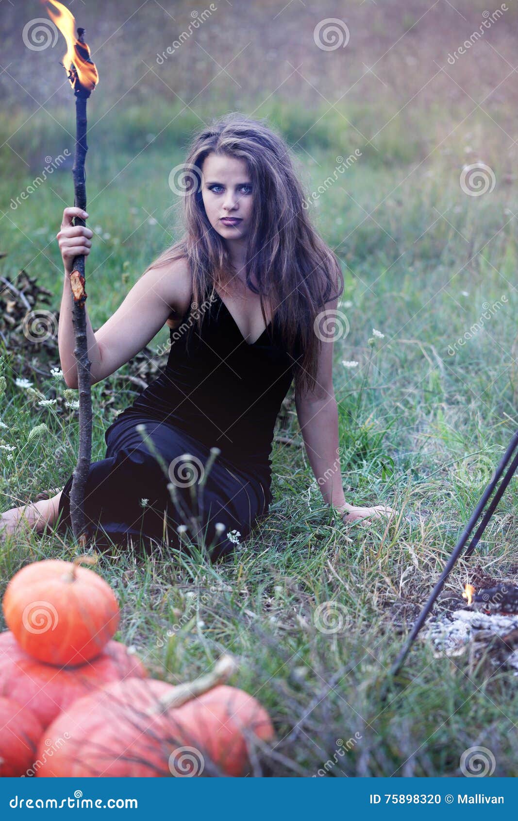 Woman with a torch stock photo. Image of lady, poison 75898320