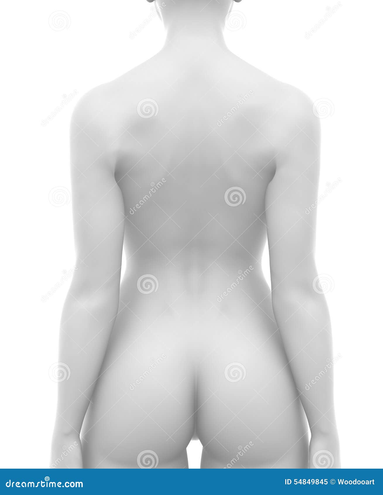 Naked Female Torso Lachelle Marie Escort