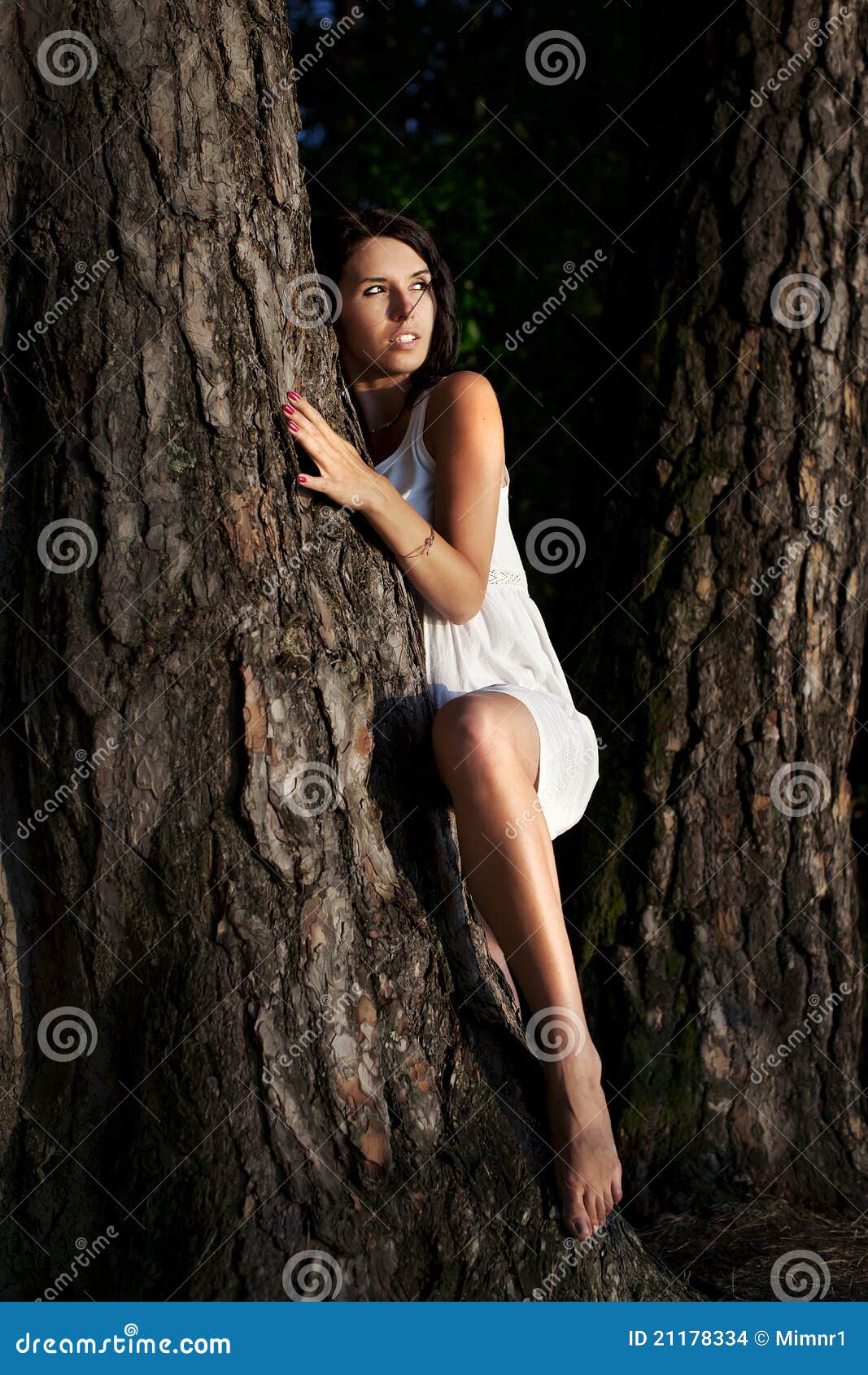 https://thumbs.dreamstime.com/z/woman-tree-21178334.jpg