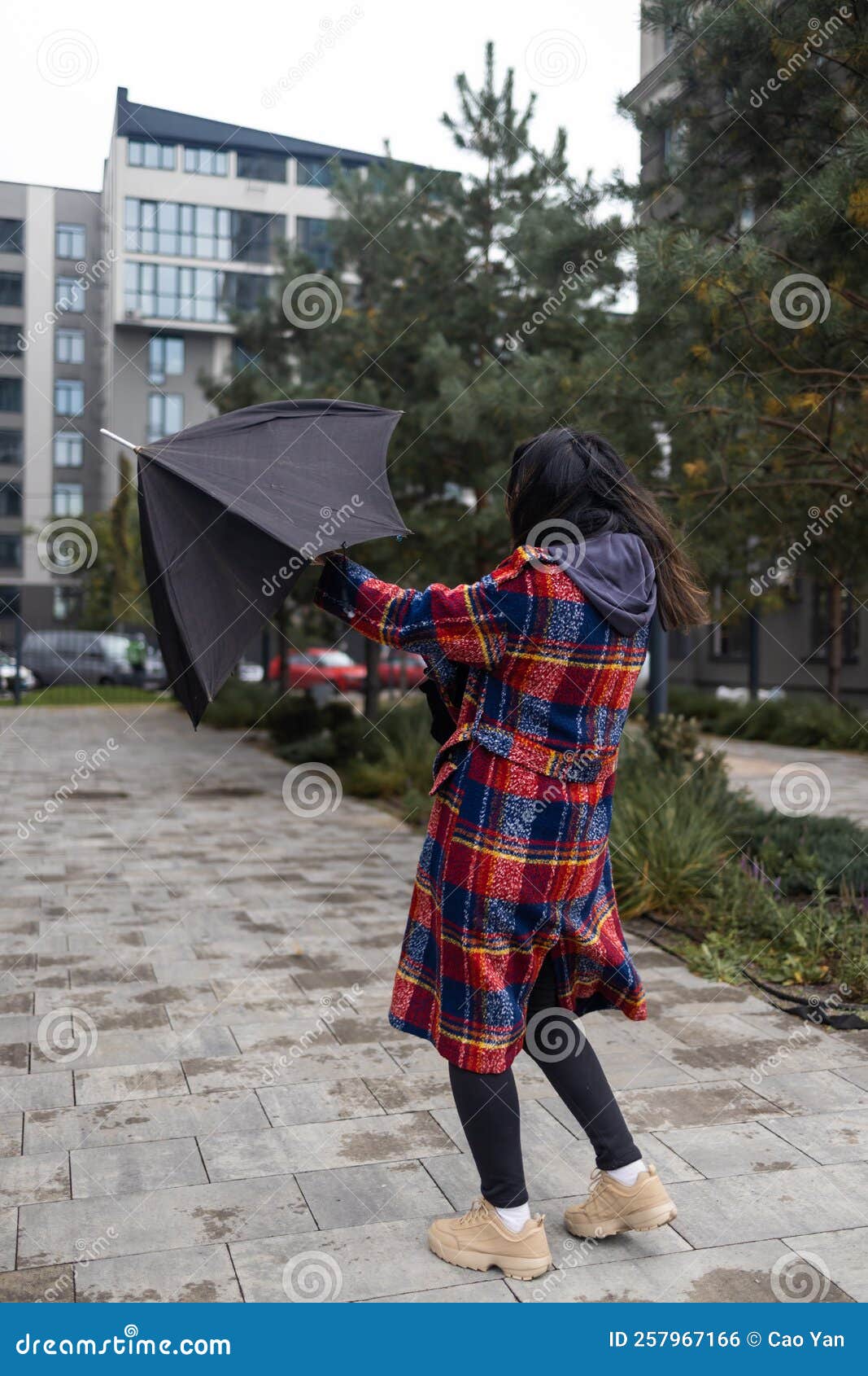 Young Woman Fighting A Storm With Her Umbrella Stock Photo Image Of understanding-wind-speed-and-tree-stability-how-strong-winds-impact