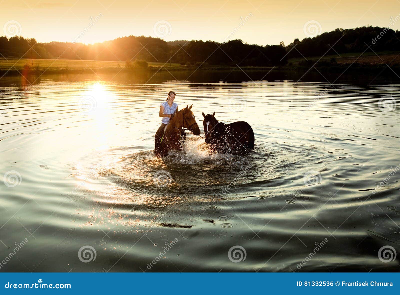 Woman with Two Horses in a Lake Stock Photo Image of outdoor