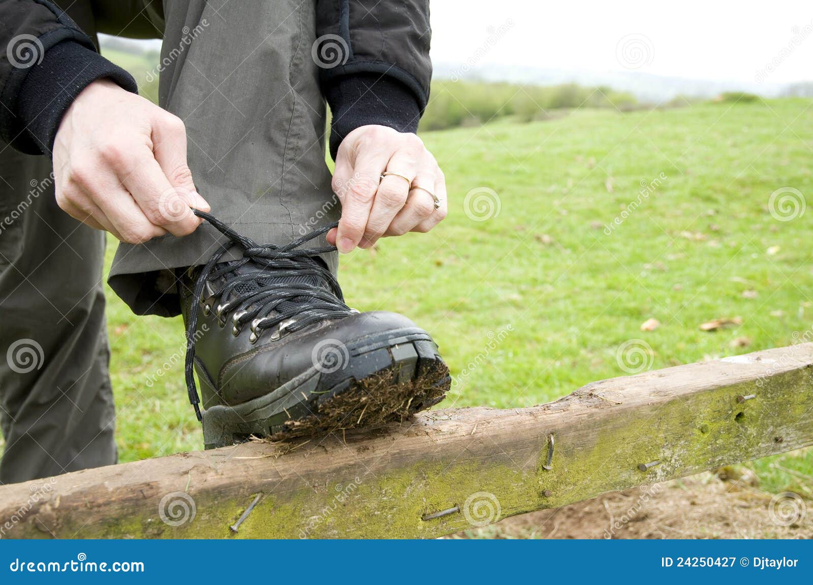 Woman tying boot laces stock image. Image of leather 24250427
