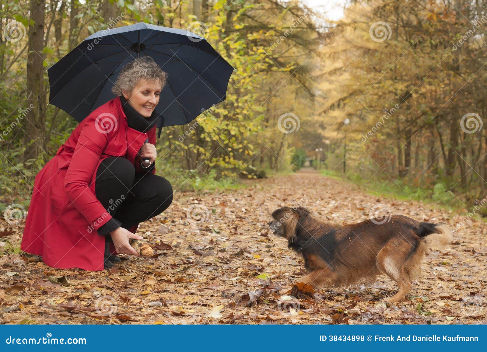 Woman with Umbrella Playing with Her Dog Stock Photo Image of