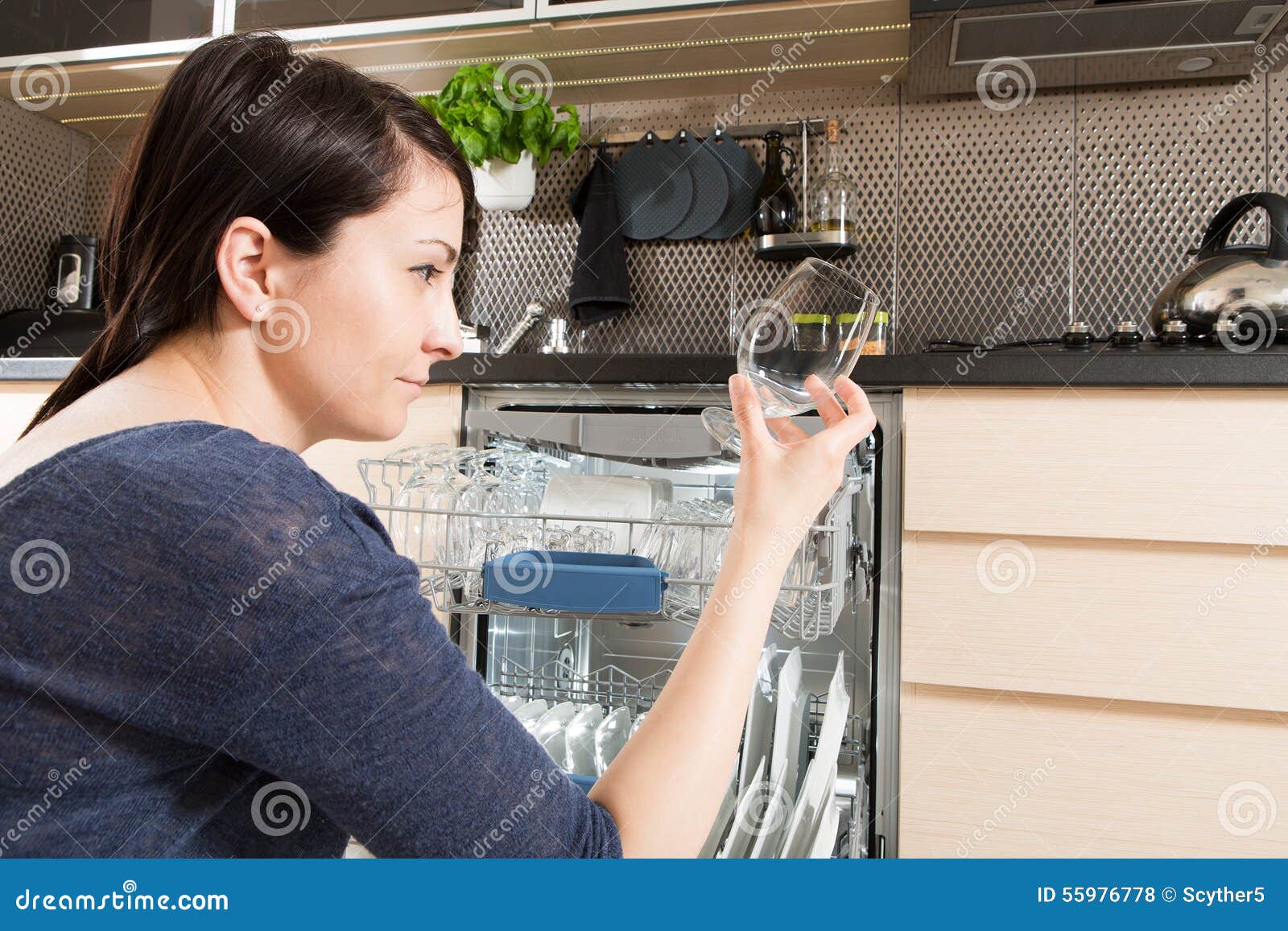 Woman Using a Dishwasher in a Modern Kitchen. Stock Photo Image of