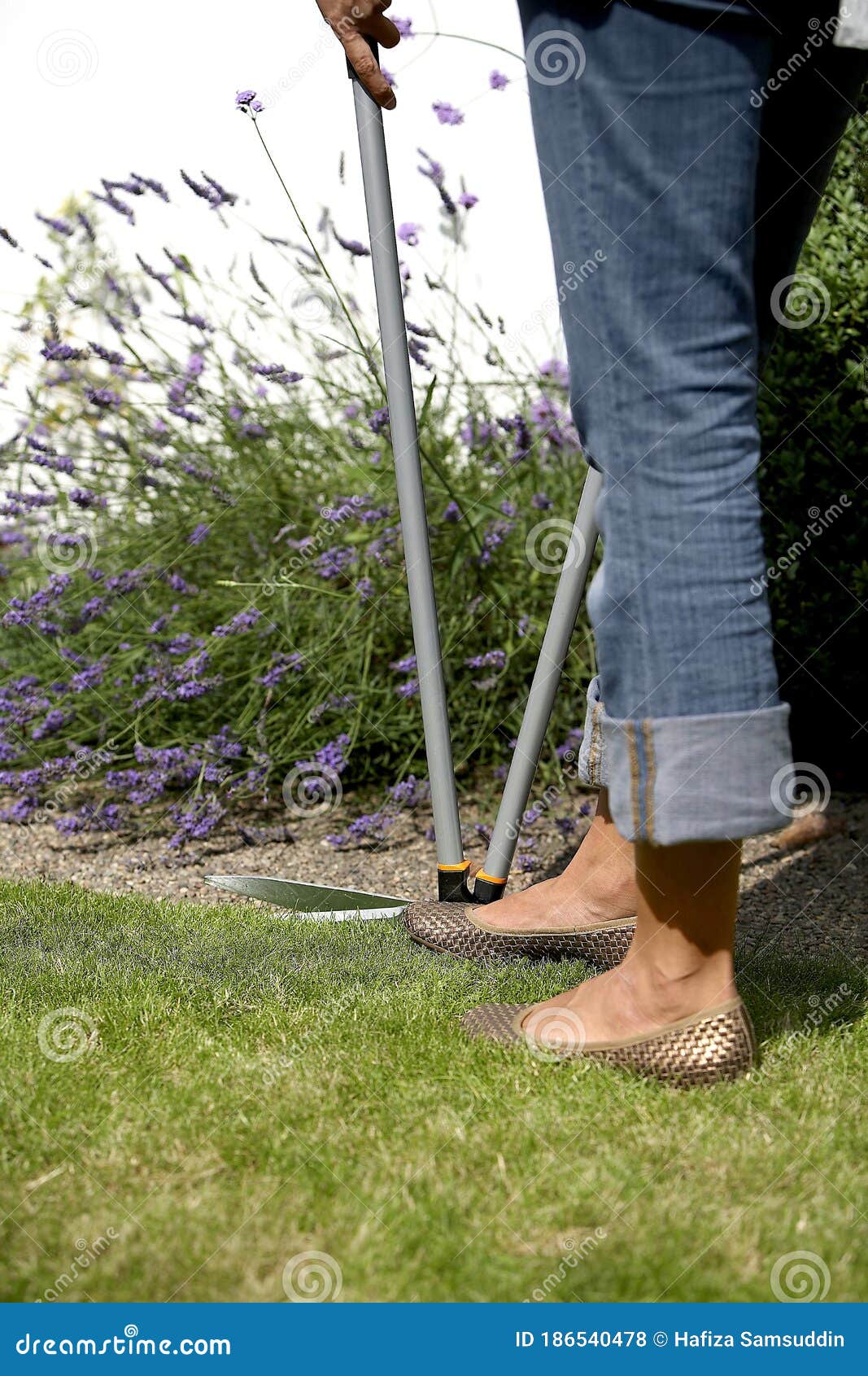 Japanese lawn edging shears deals