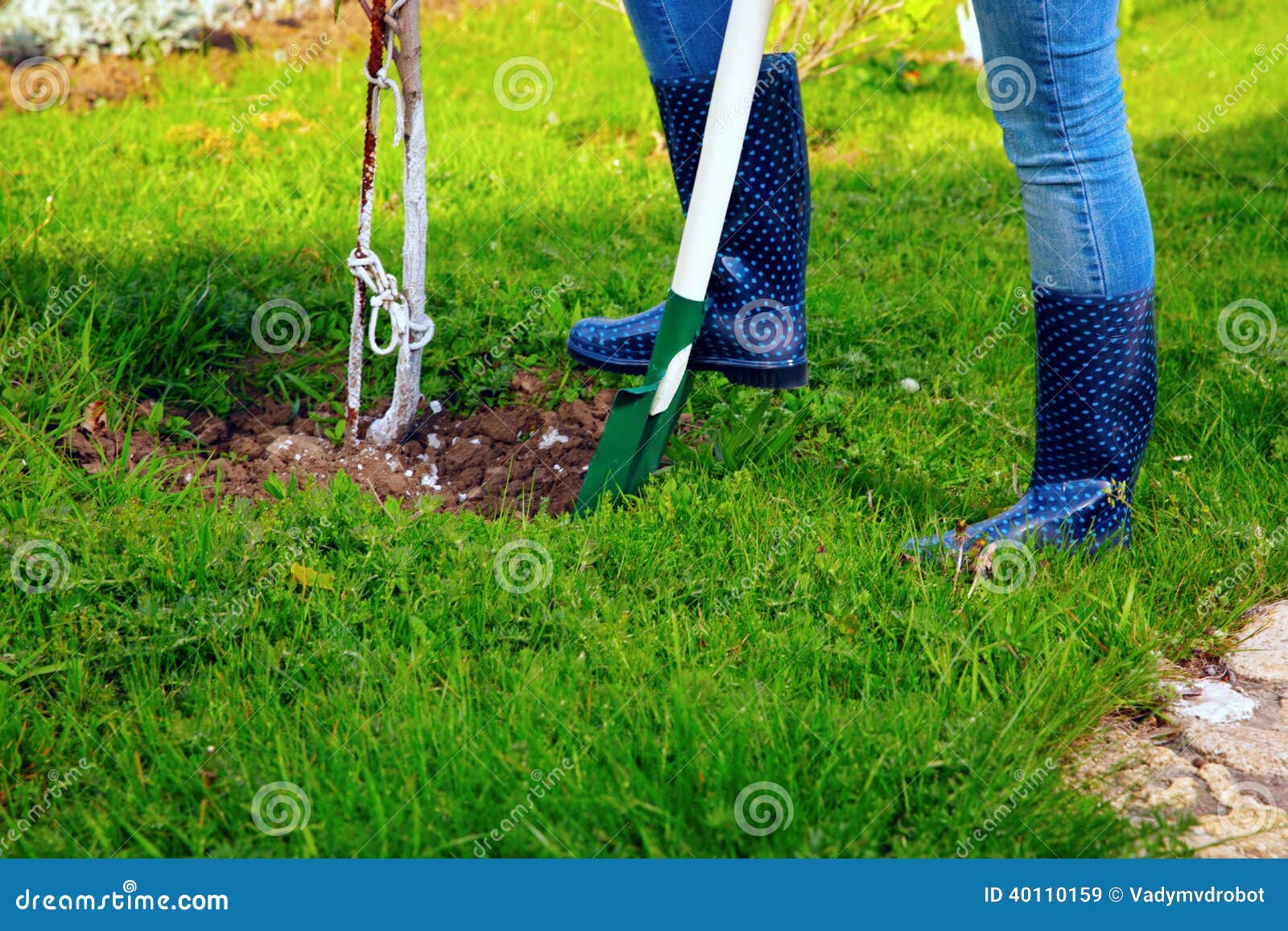 Woman Using Shovel in Her Garden Stock Image - Image of gardener ...