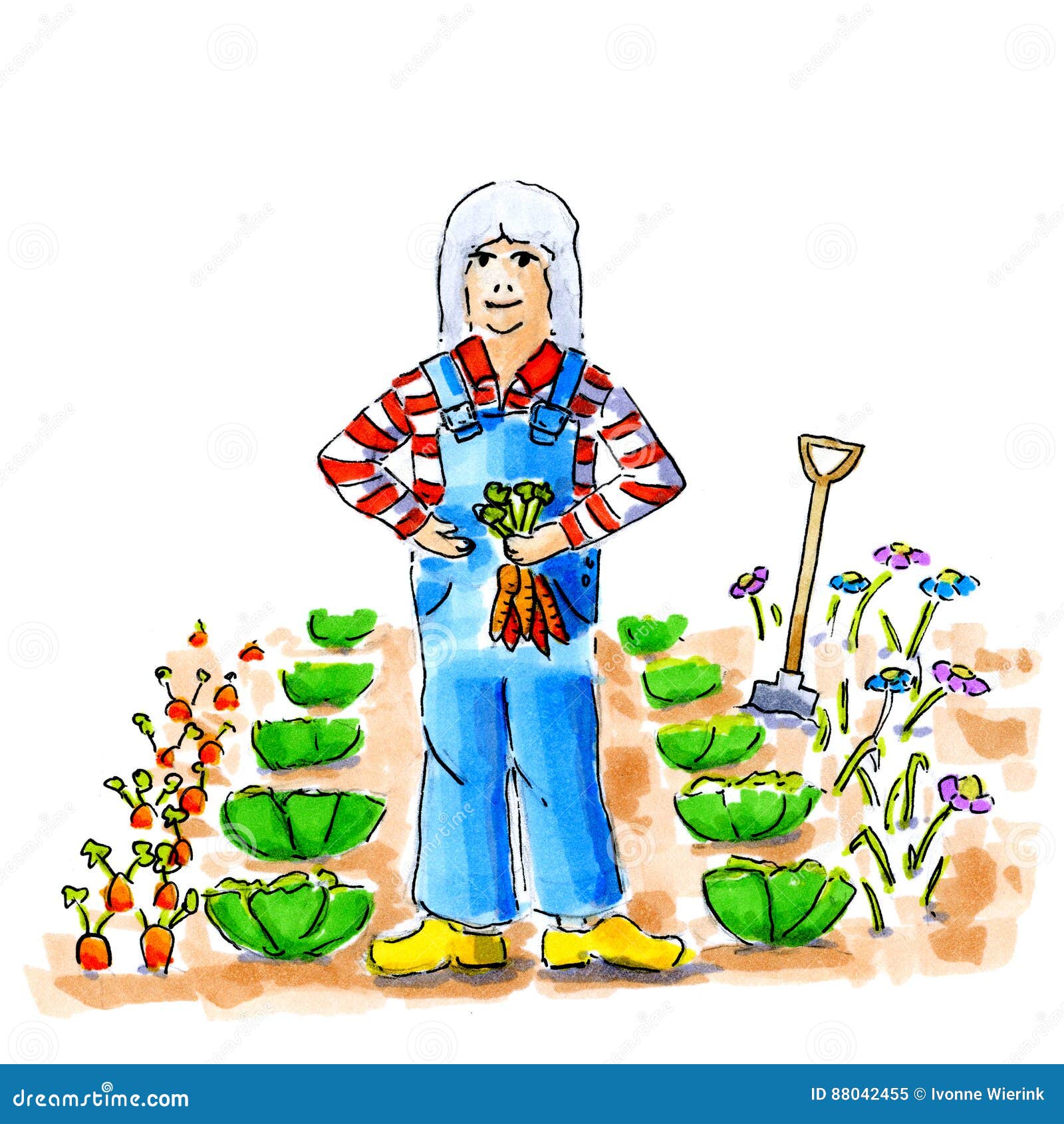 Woman in vegetable garden stock illustration. Illustration of colour