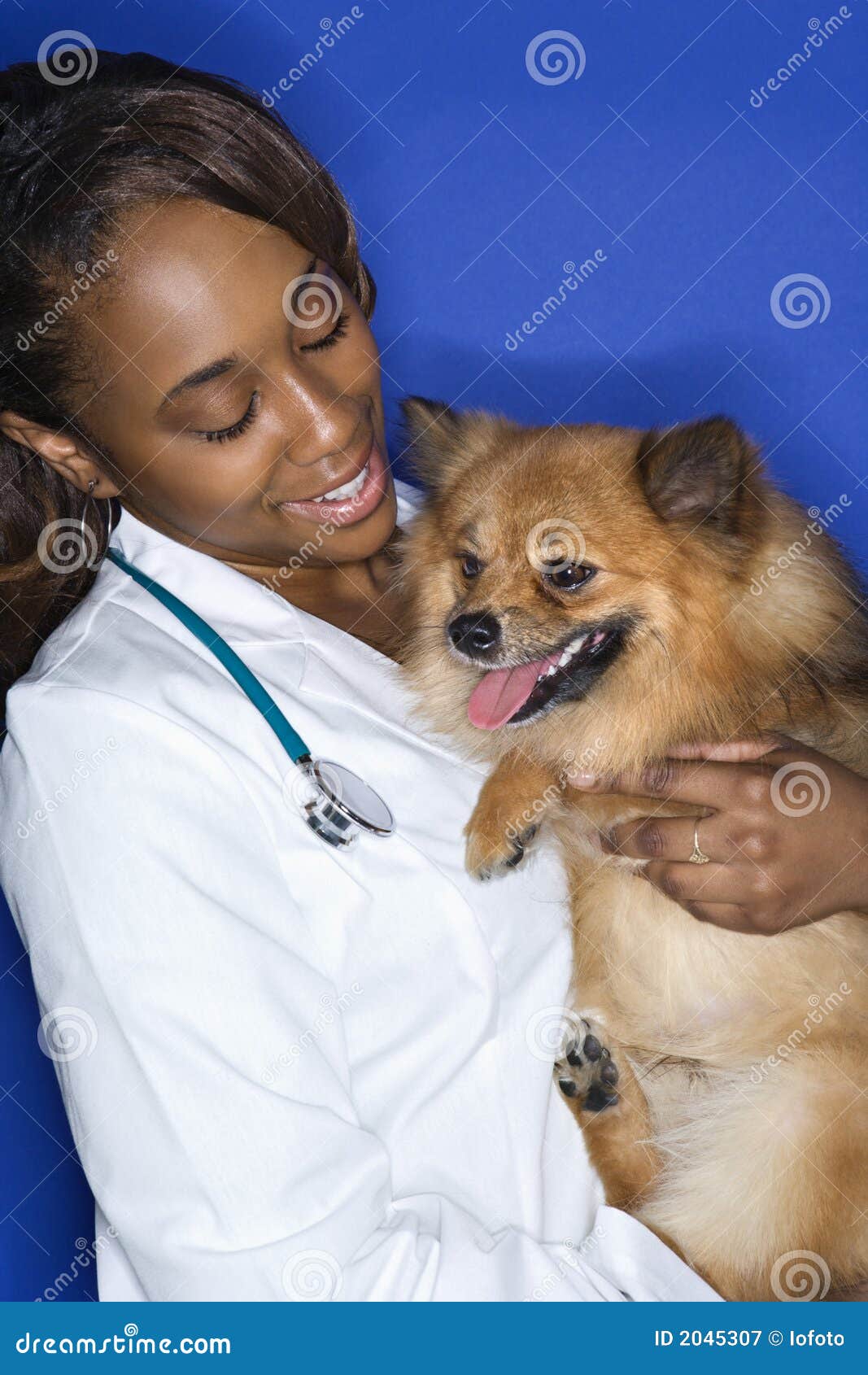 woman veterinarian holding dog