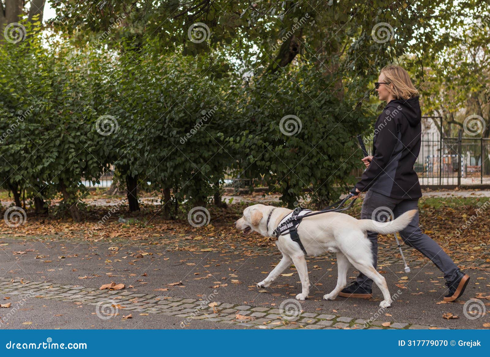 woman with visual impairment walking with a guide dog through park