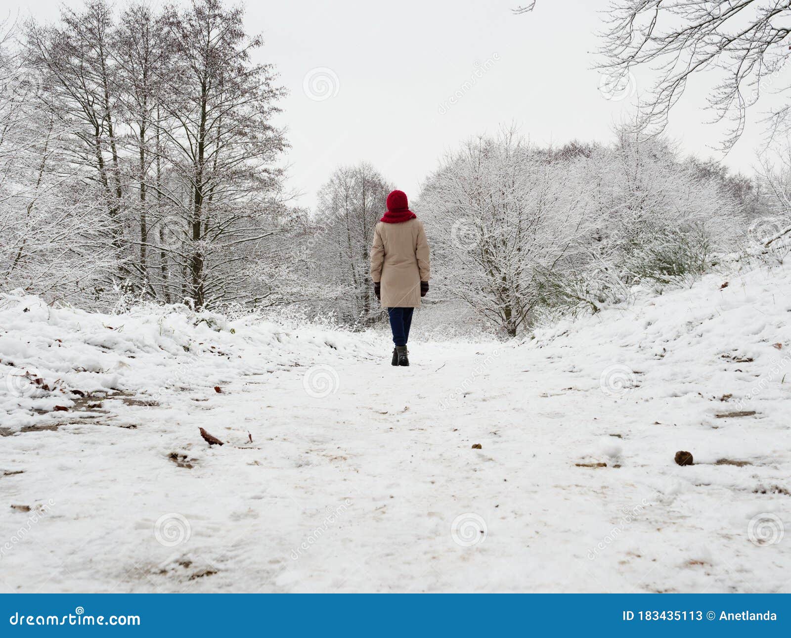 Woman Walk in Winter Snow Forest Stock Image - Image of freeze, woods ...