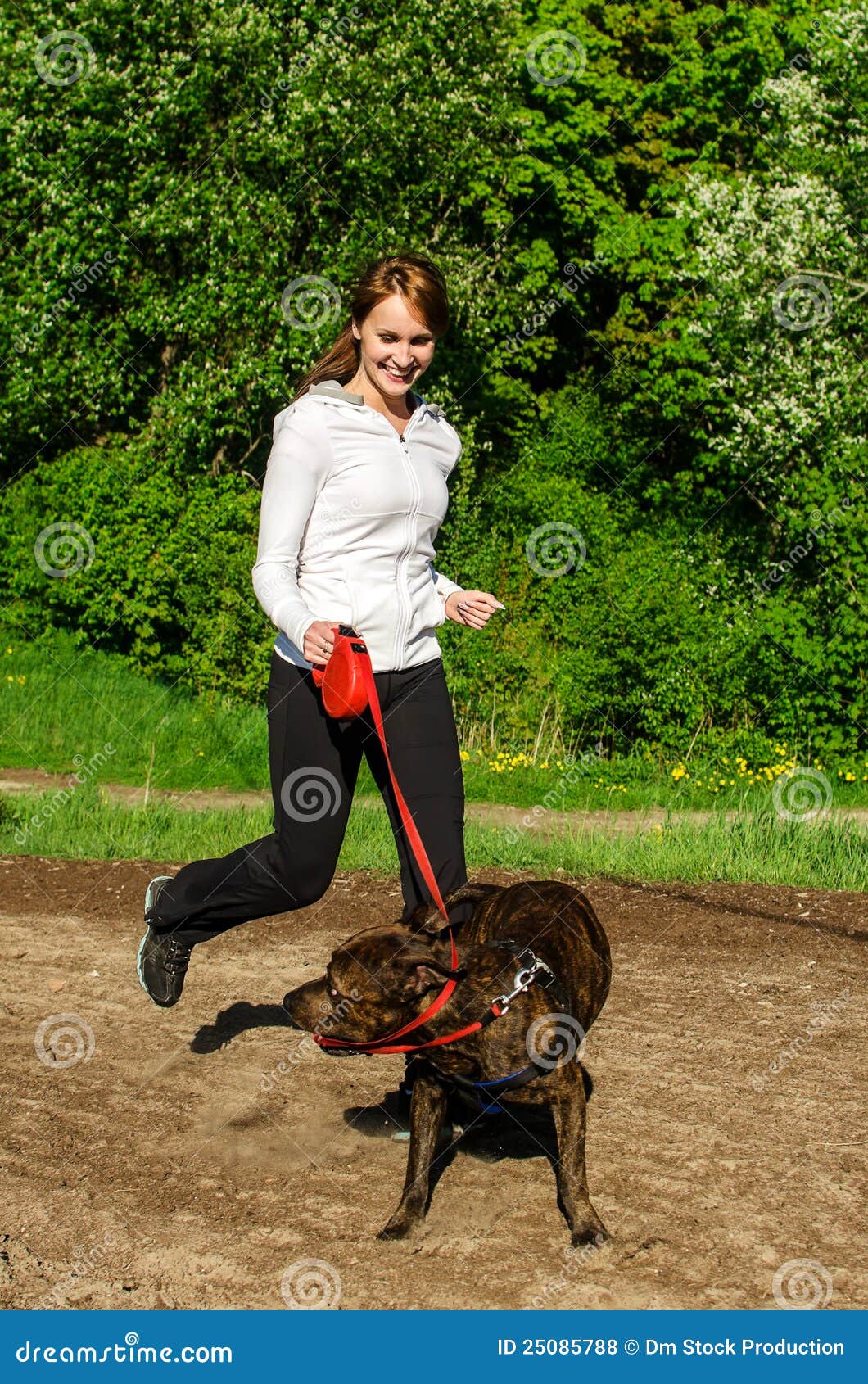 Woman Walking With Dog Royalty Free Stock Photos - Image: 25085788