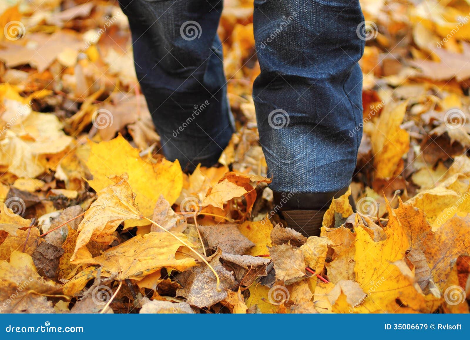 Woman walking on leaves stock image. Image of foot, fall 35006679