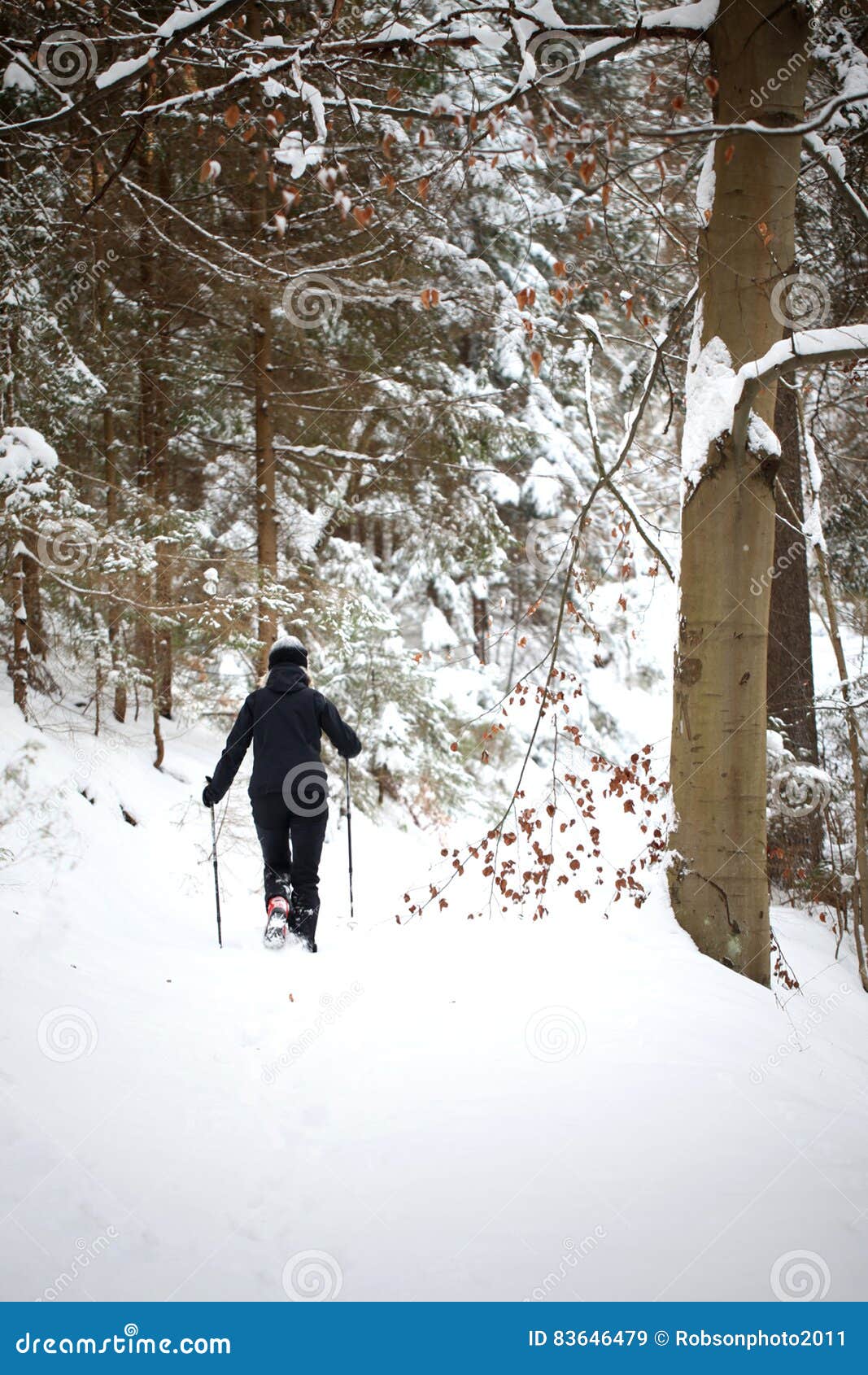 Woman Walking in the Snowy Woods Stock Image - Image of hiking, weather ...