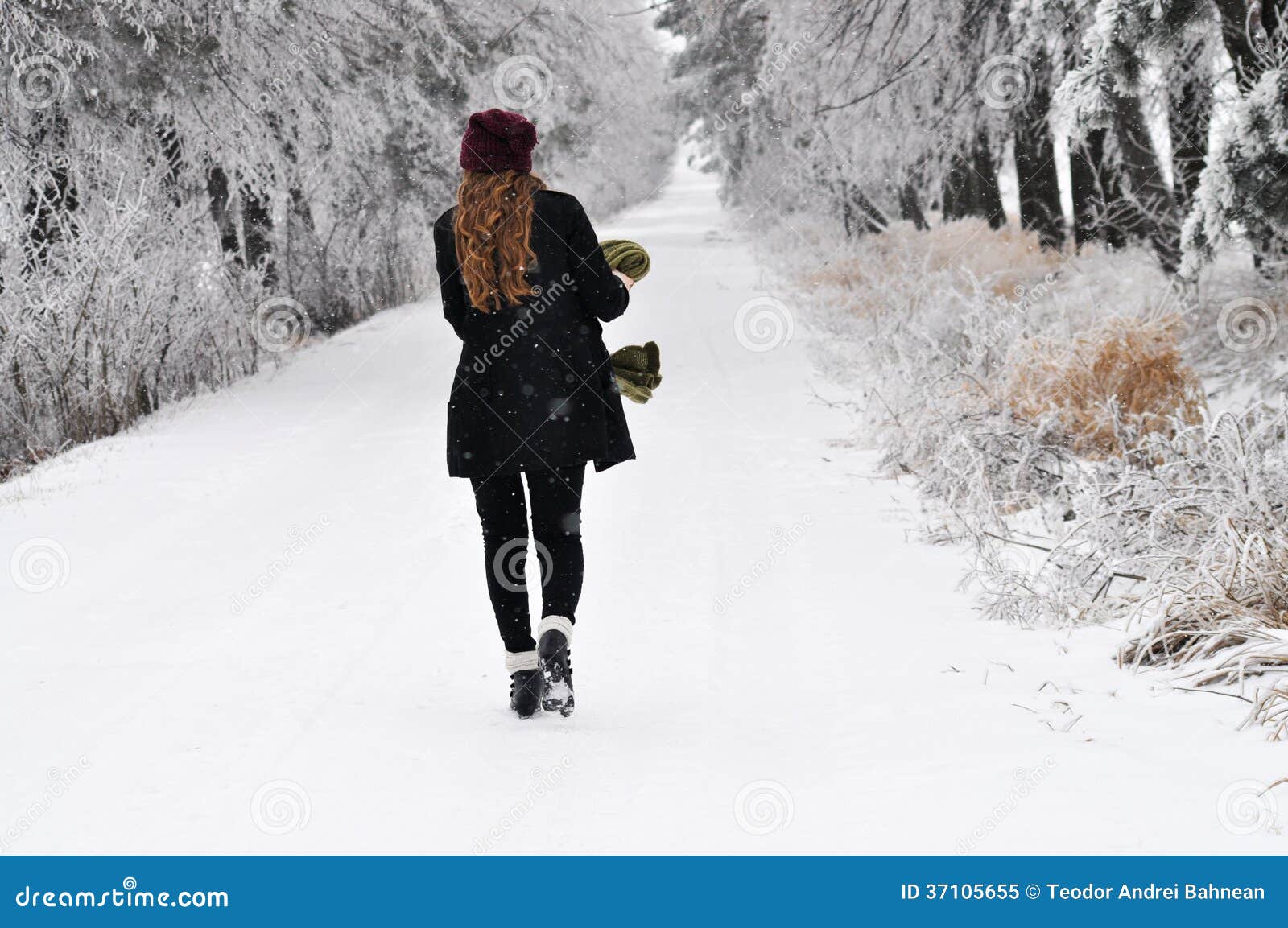 Woman Walking In Winter Forest Royalty Free Stock Photo - Image: 37105655