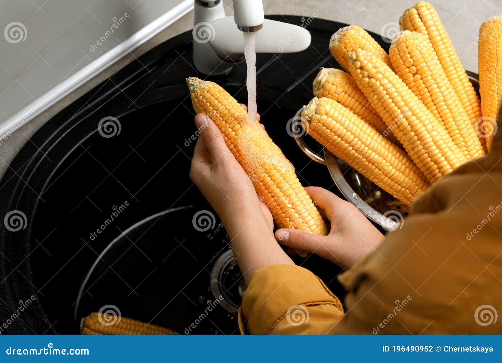 Woman Washing Corn Cobs in Sink Stock Photo Image of harvest, kernel