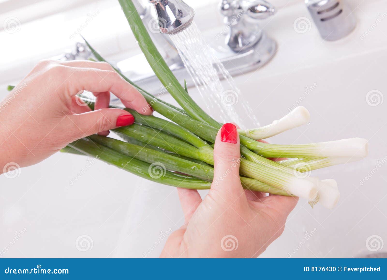 Woman Washing Onions stock photo. Image of kitchen, water 8176430