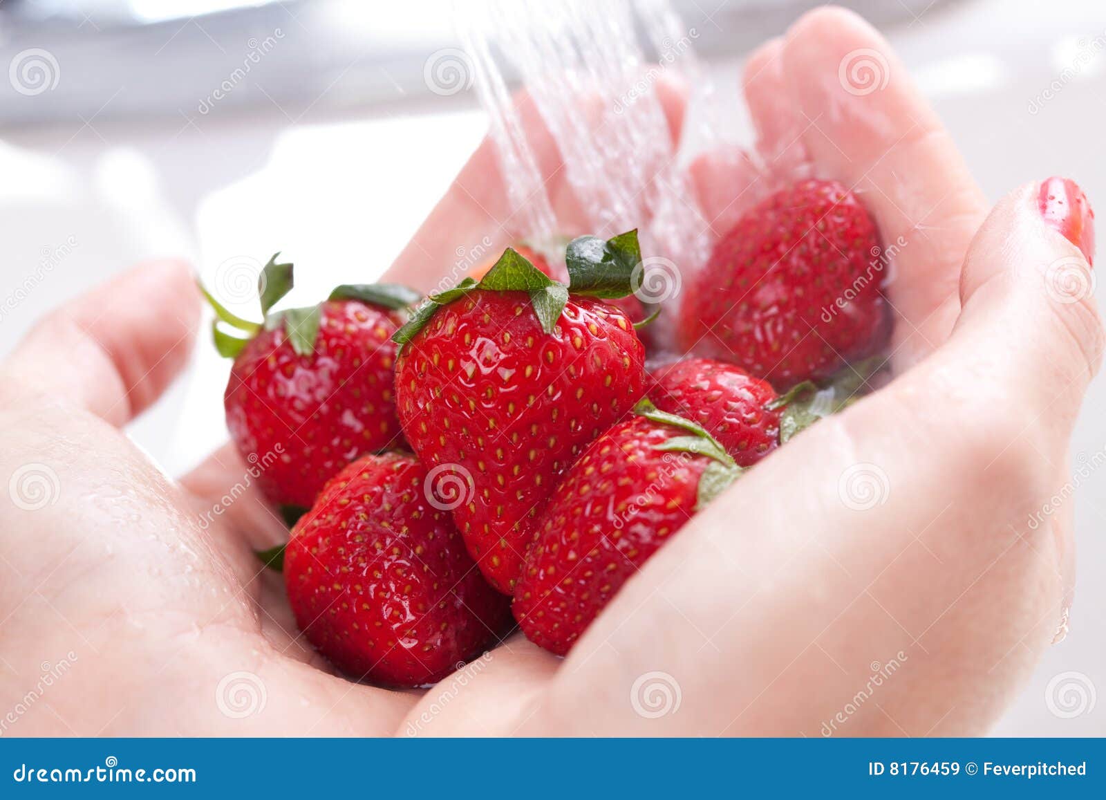 Woman Washing Strawberries stock image. Image of basin 8176459