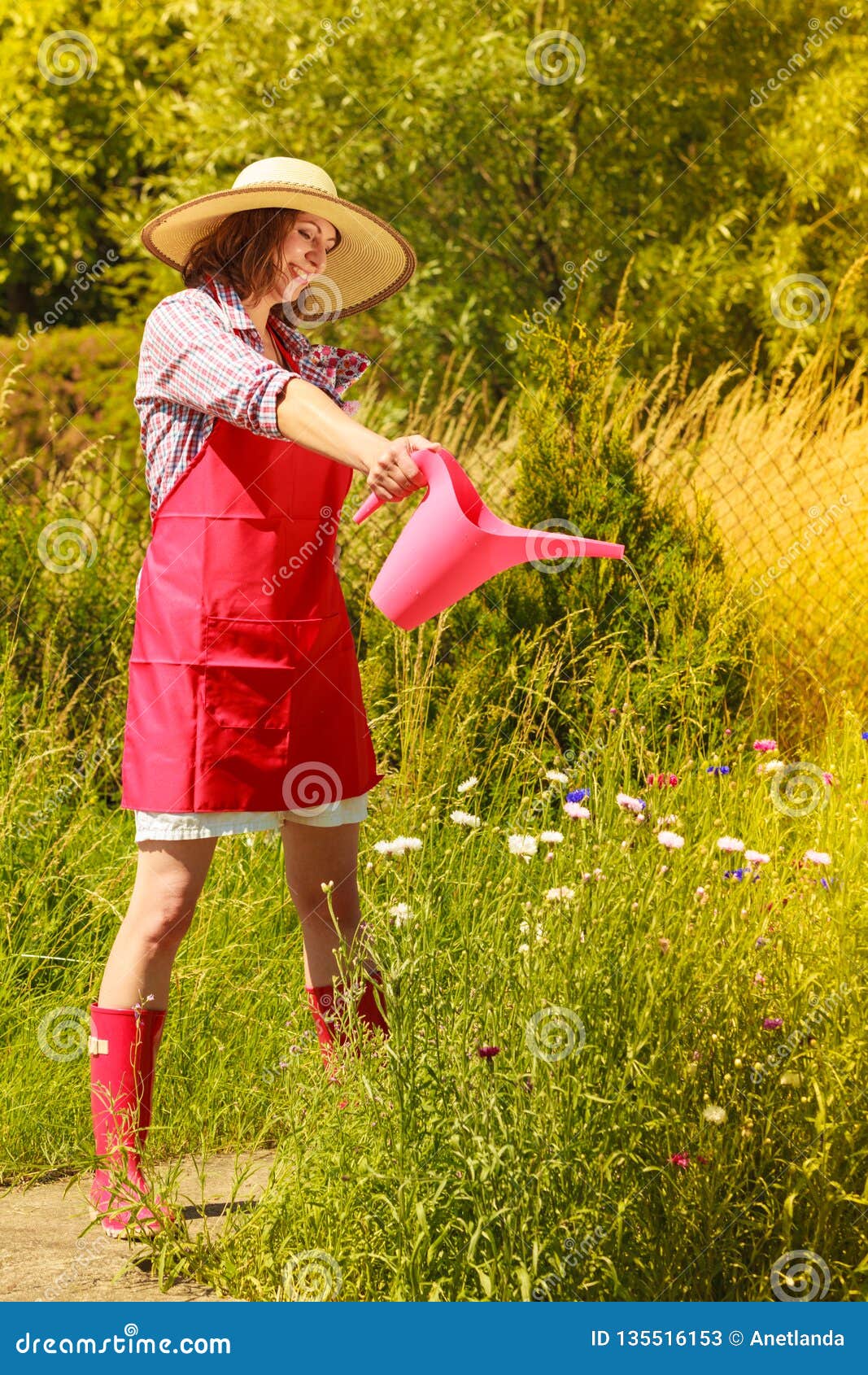 Woman Watering Plants in Garden Stock Image - Image of cultivation ...