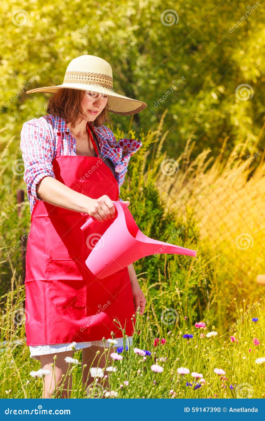 Woman Watering Plants in Garden Stock Photo - Image of plant, woman ...