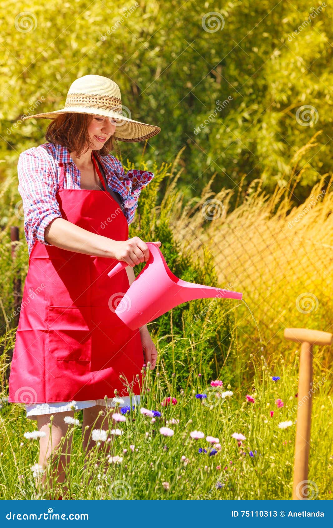 Woman Watering Plants in Garden Stock Image - Image of spring, mature ...