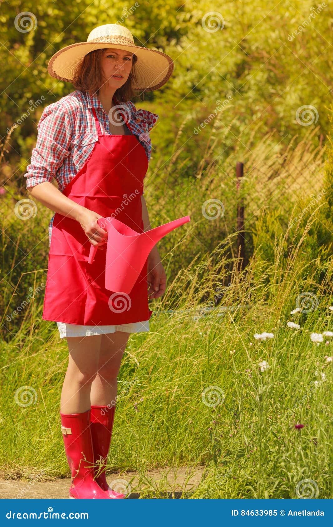 Woman Watering Plants in Garden Stock Image - Image of working, apron ...