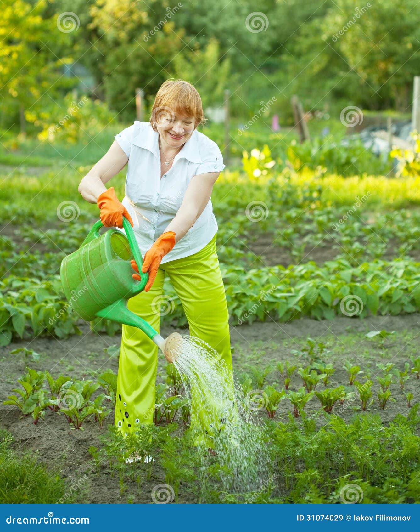 Woman Watering with Watering Pot Stock Image - Image of gardening, fuul ...