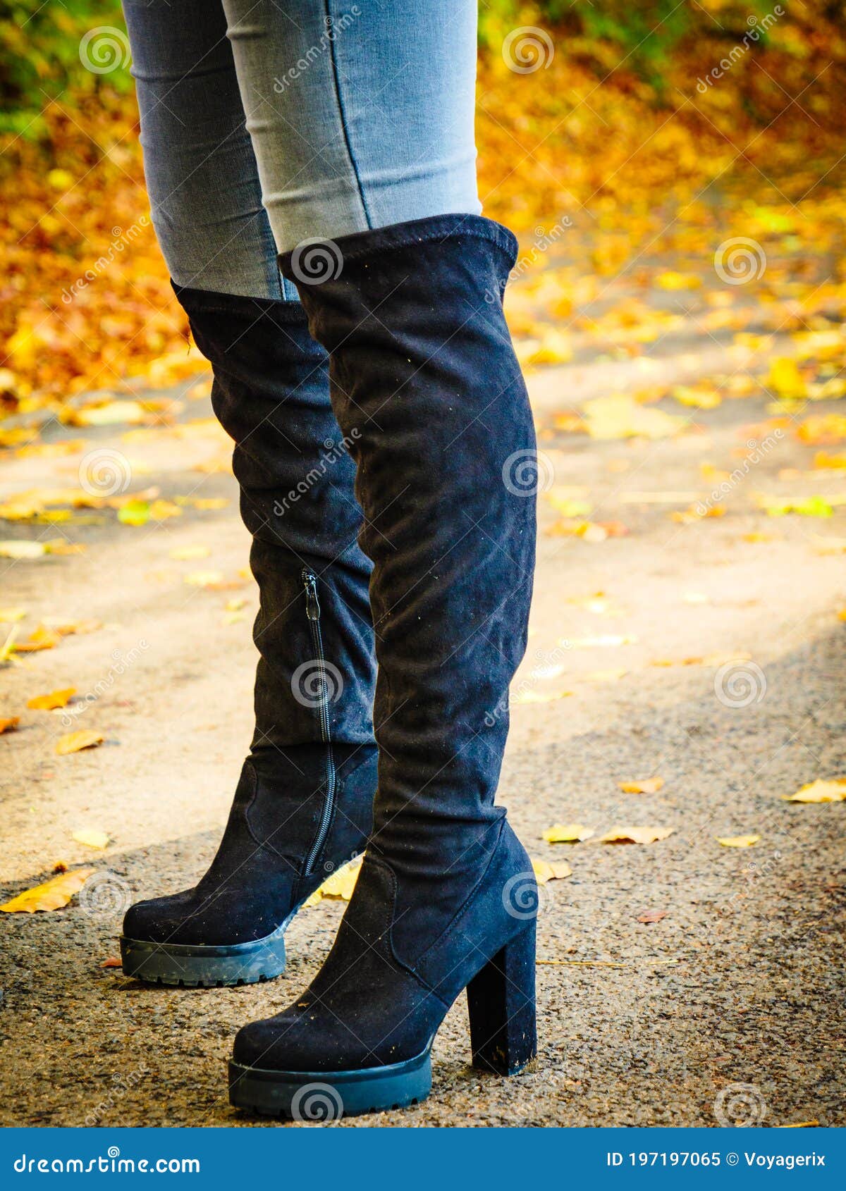 Woman Wearing Black Knee High Boots Stock Image - Image of beautiful ...