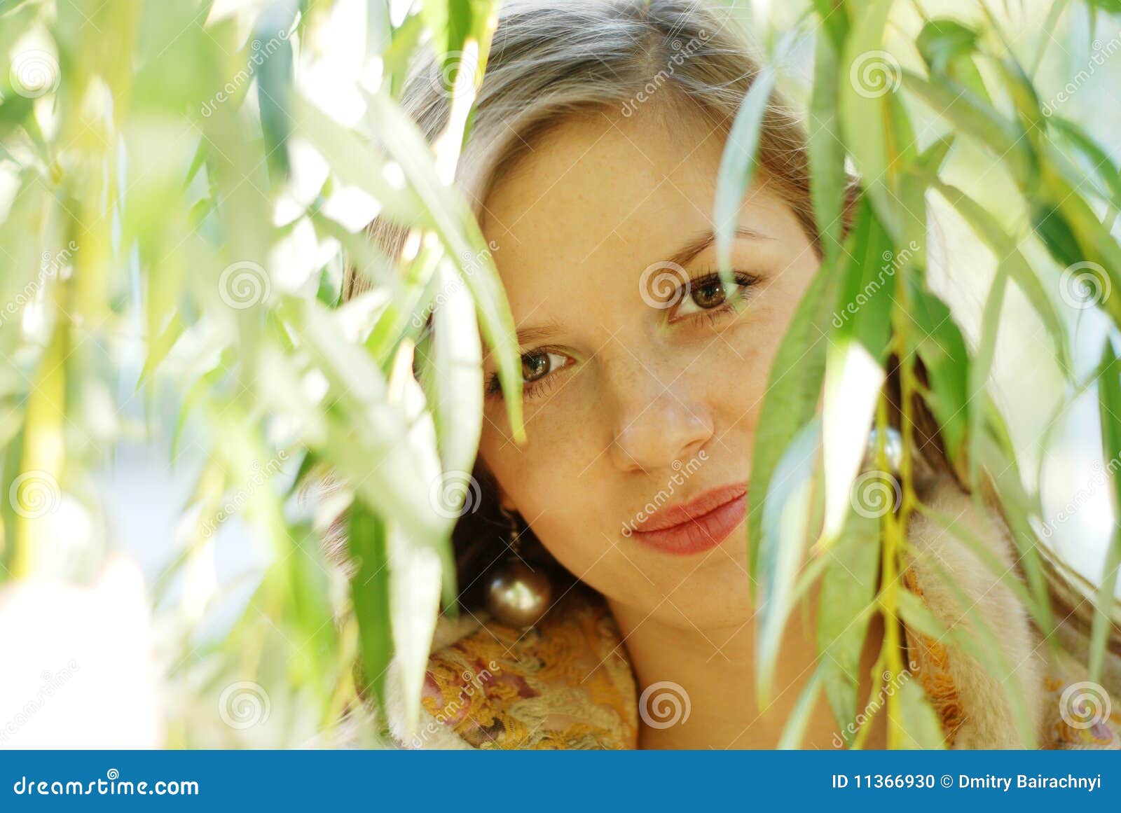 Woman and weeping willow stock photo. Image of autumn - 11366930