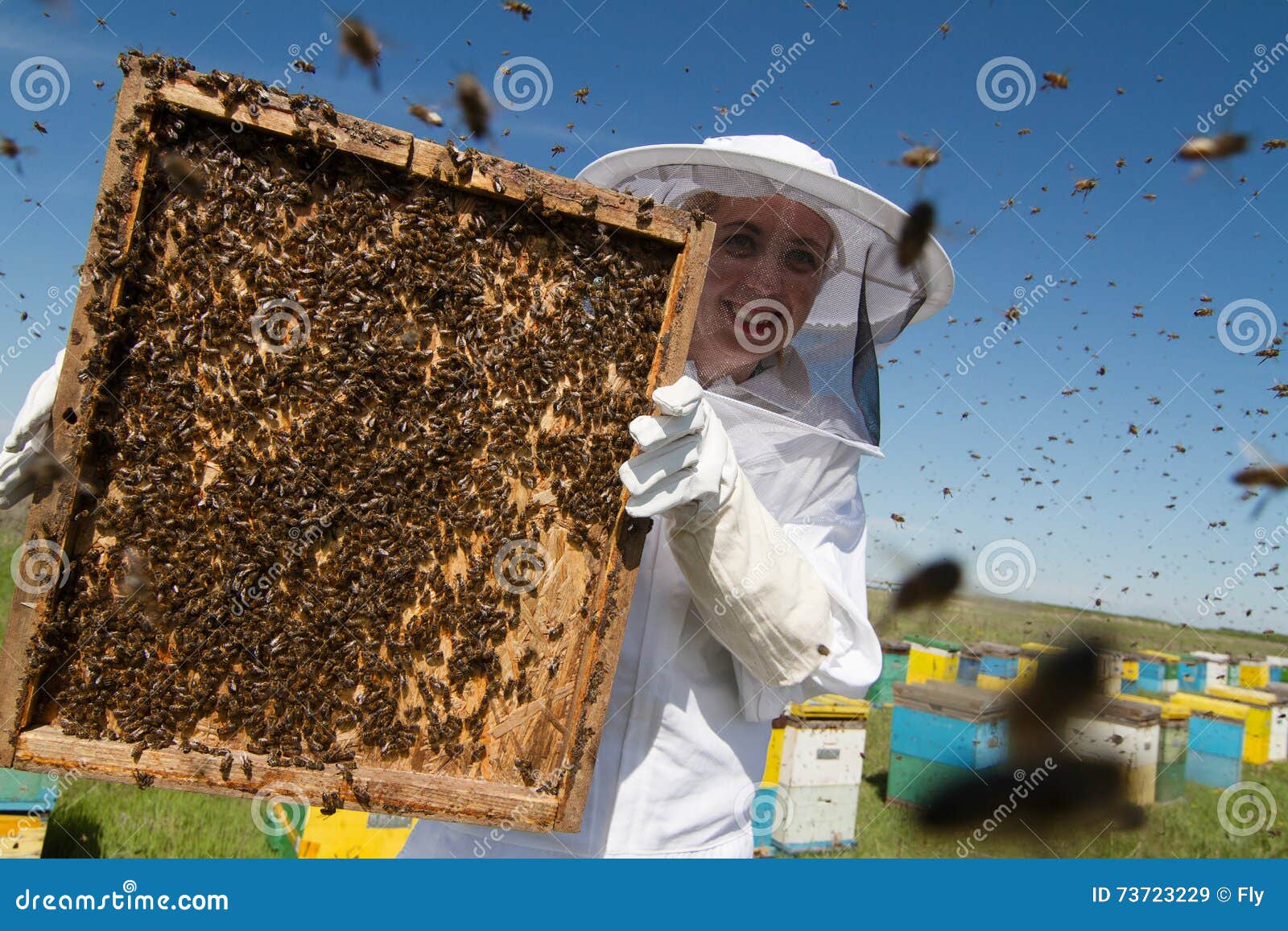 DO I NEED TO WEAR A BEE SUIT? - Beekeeping Like A Girl