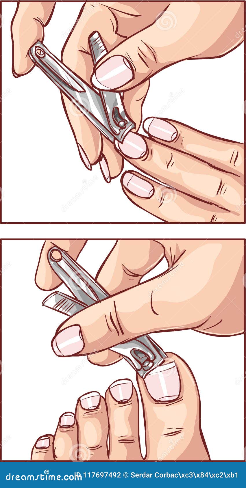 Cutting Nail Stock Illustrations – 596 Cutting Nail Stock