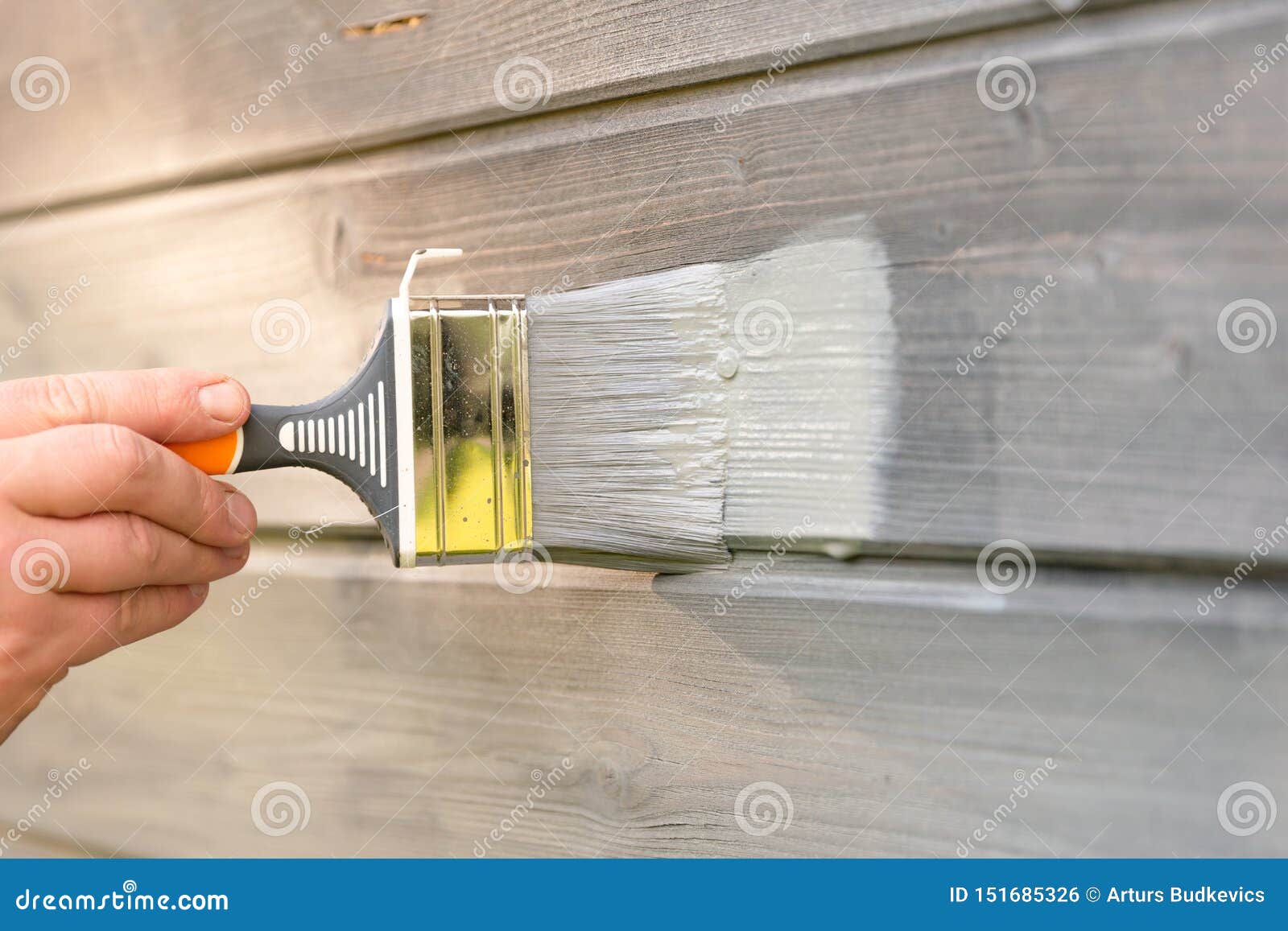 woman worker painting wooden house exterior wall with paintbrush and wood protective color