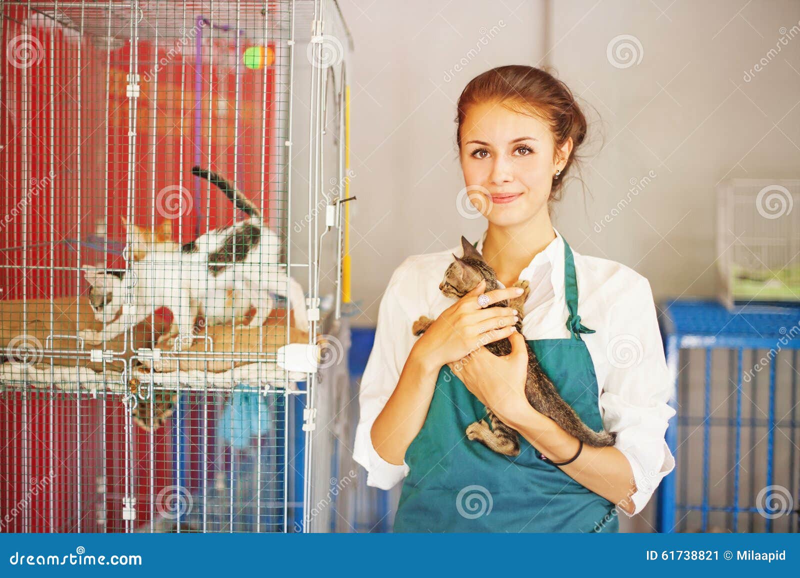 52,102 Animal Shelter Stock Photos - Free & Royalty-Free Stock Photos from  Dreamstime