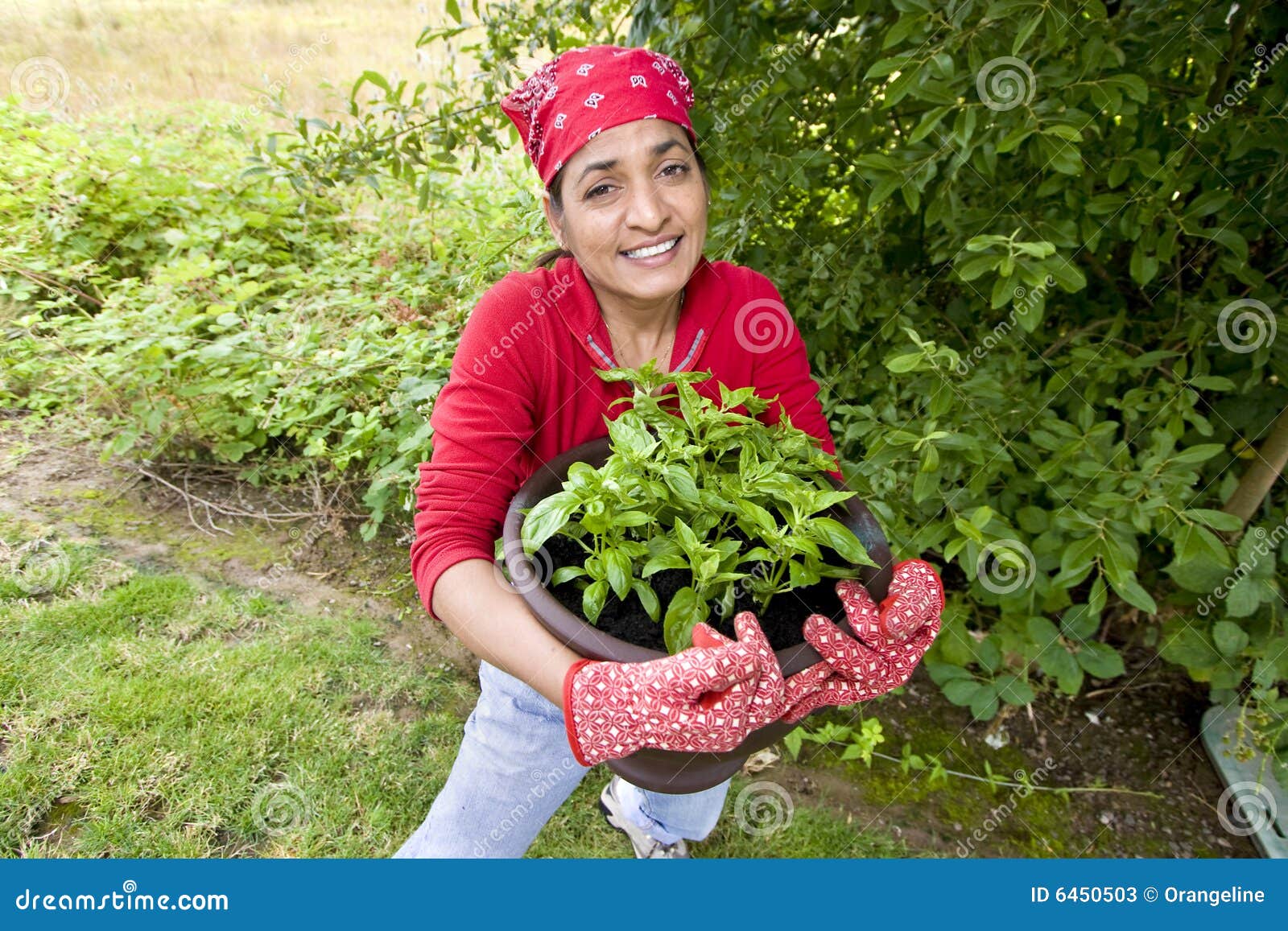 Woman Working Outside In Garden Picture. Image 6450503
