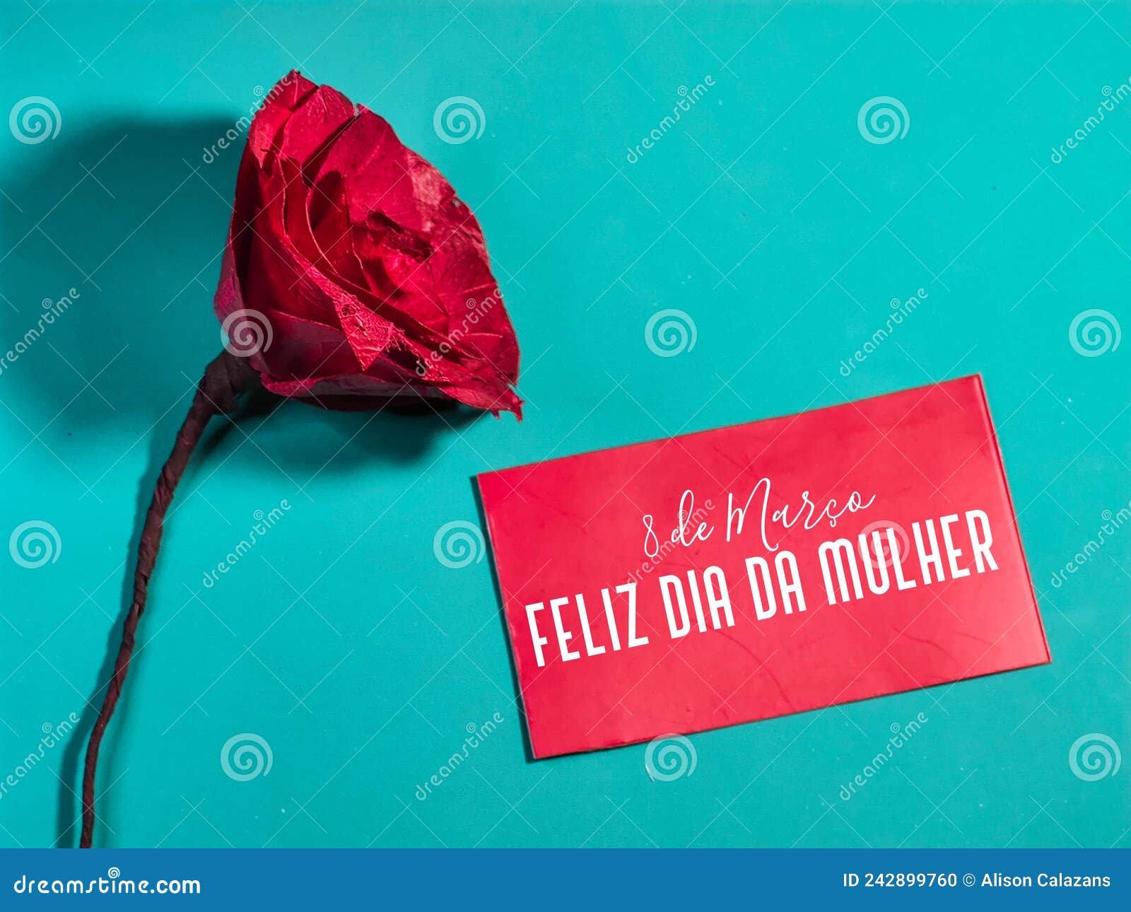 woman's day. title in brazilian portuguese written "8 de marÃÂ§o, feliz dia da mulher".