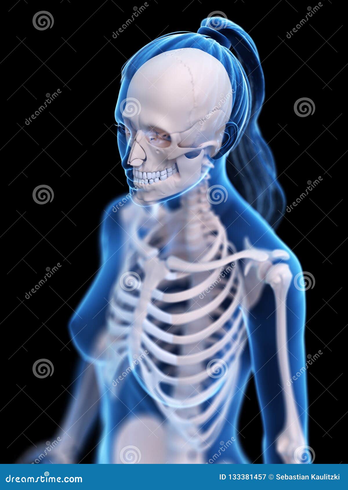 A Womans Skeletal Thorax Stock Illustration Illustration Of Health