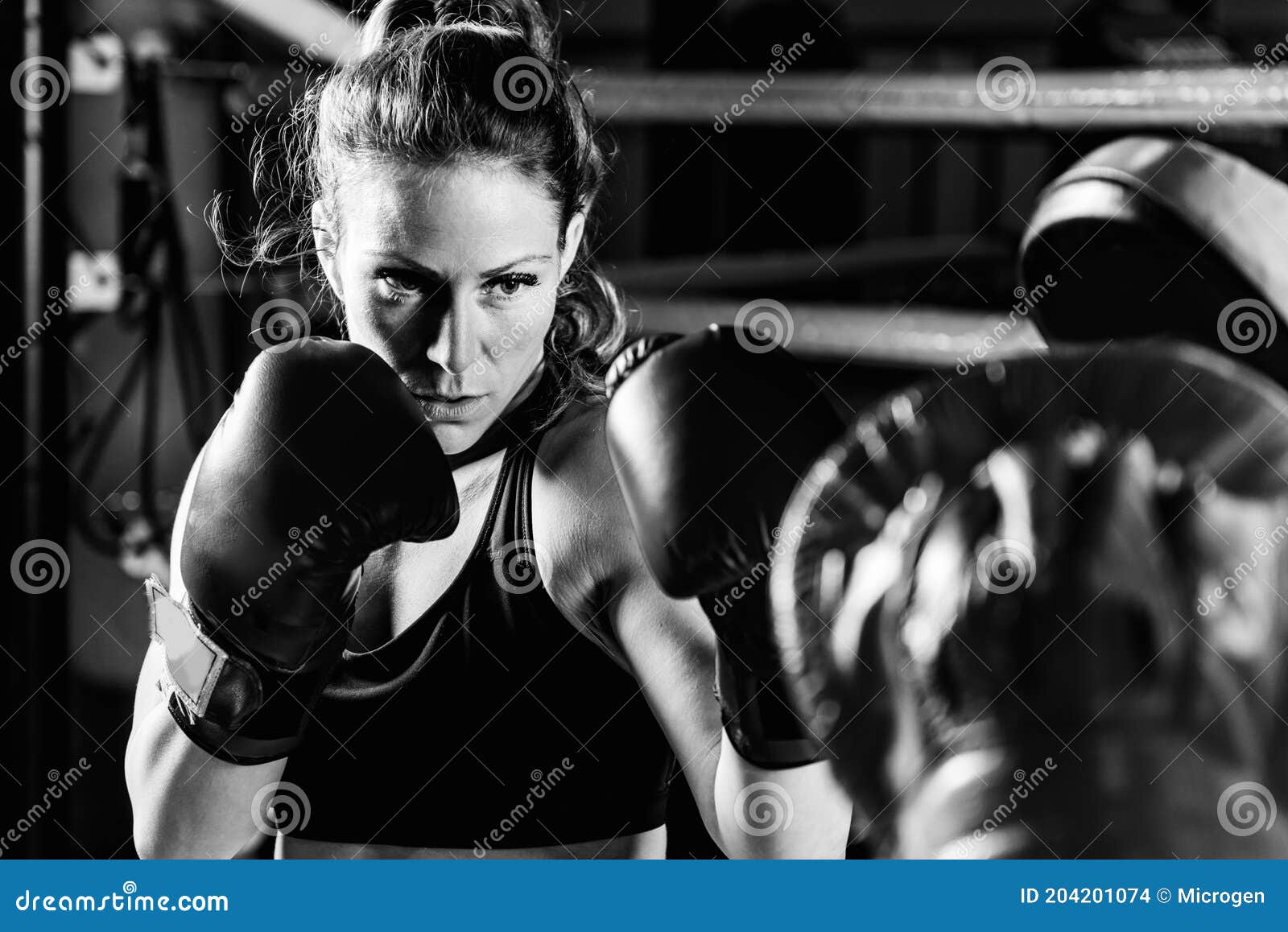 Women on boxing training stock photo. Image of athlete 204201074