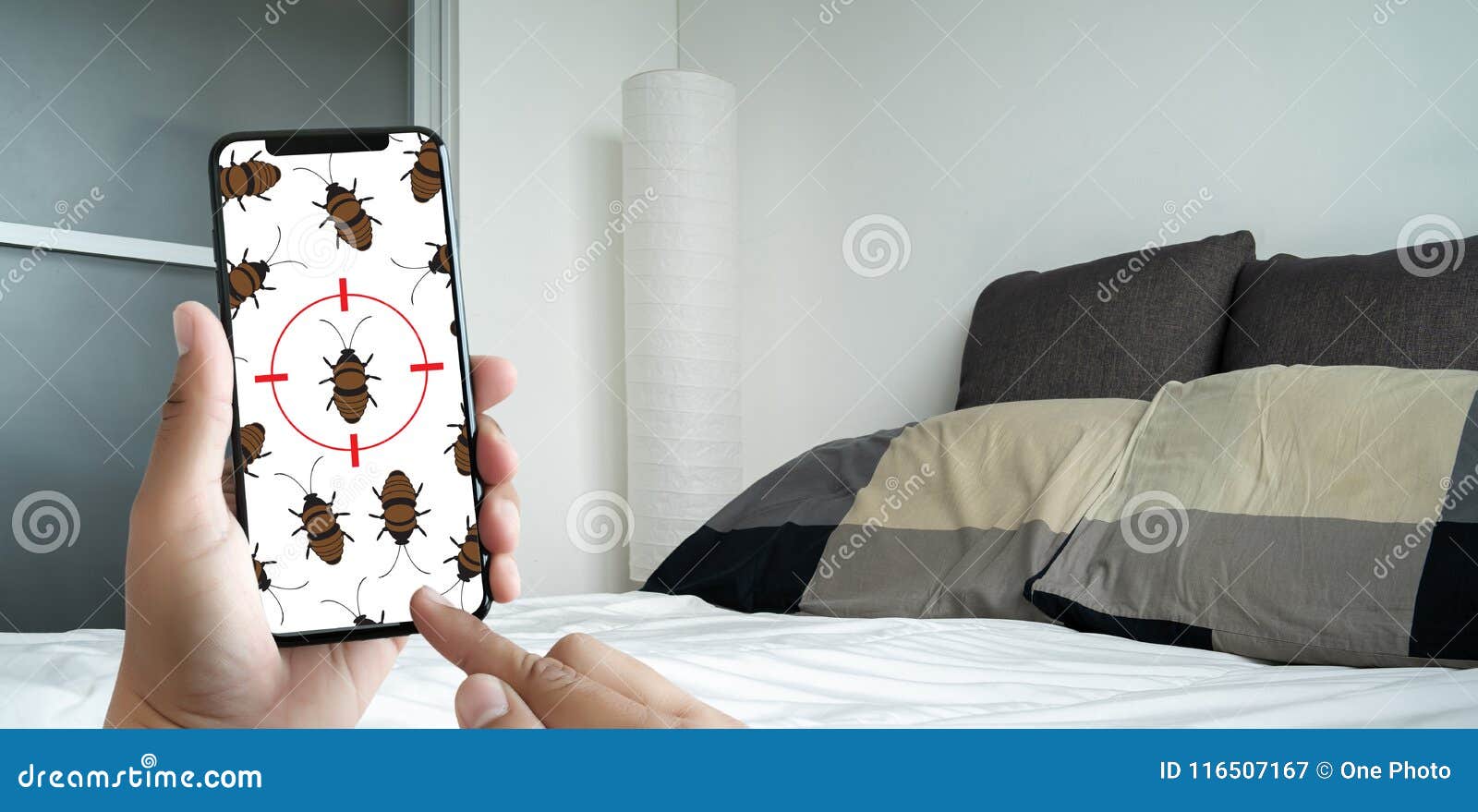 women are checking for unusual things and detecting bed bugs in