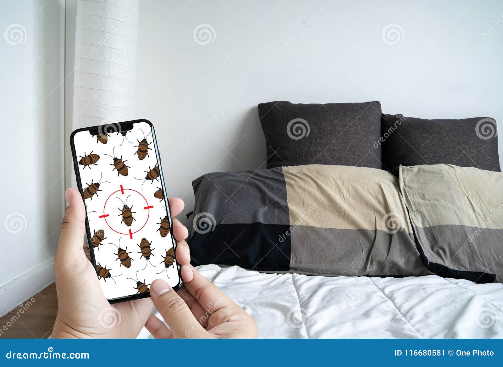 women are checking for unusual things and detecting bed bugs in