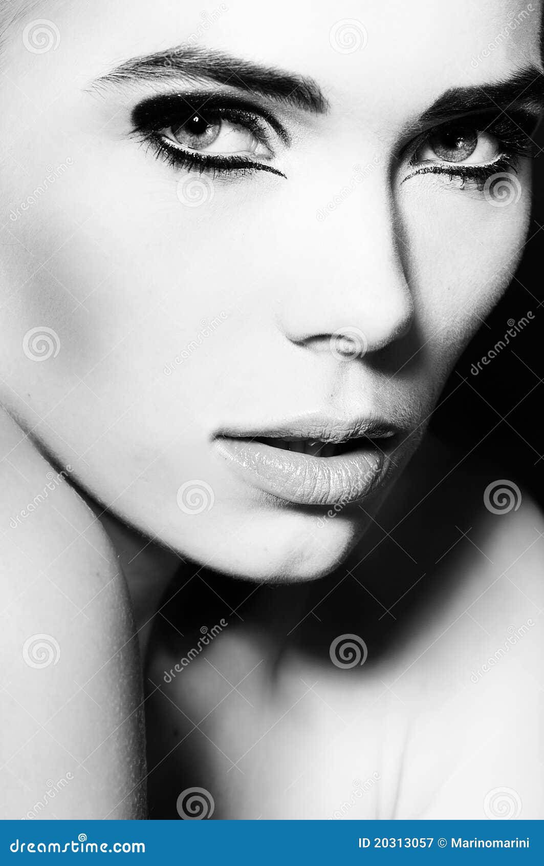 Women Face Royalty Free Stock Photography - Image: 20313057