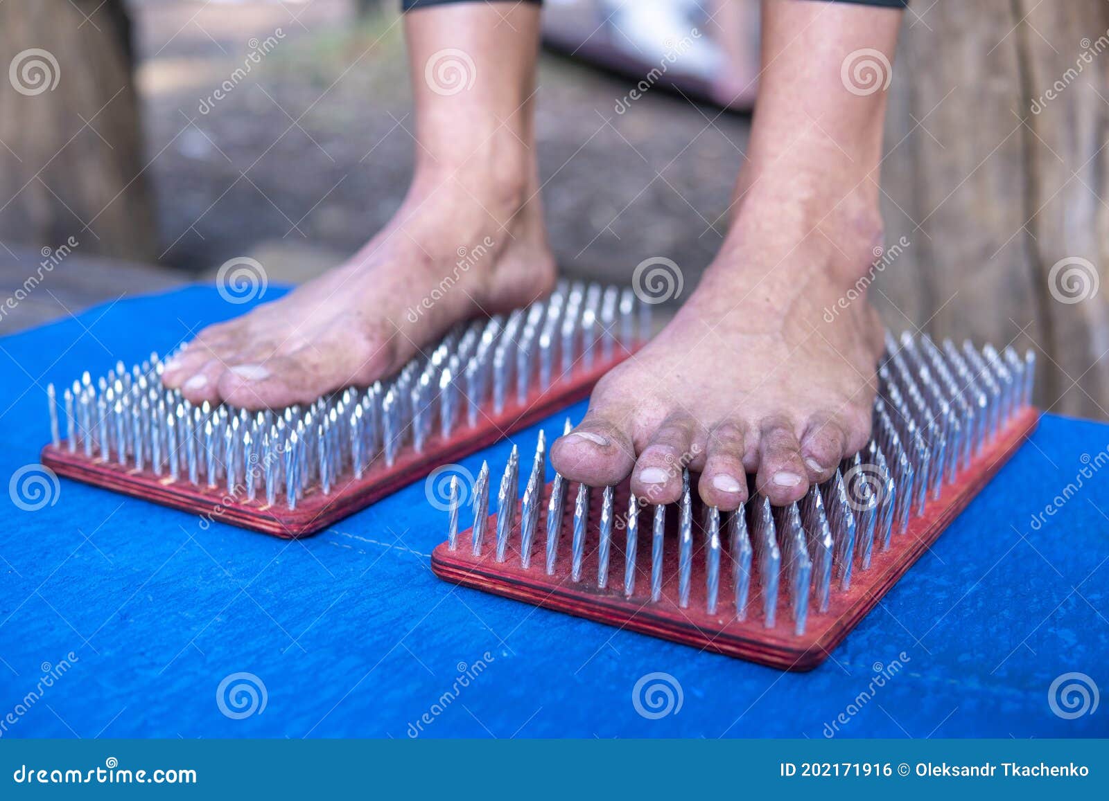 Women Feet are Standing on a Board with Sharp Nails, Sadhu Board Stock