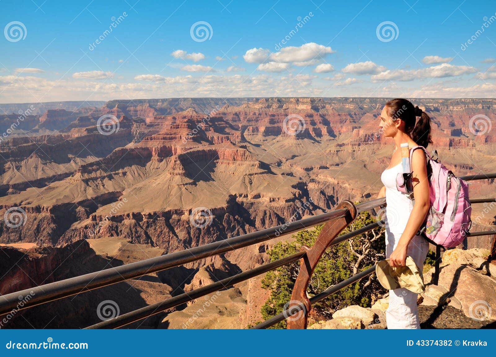 Women in grand canyon stock photo. Image of canyon, formations 43374382(02)