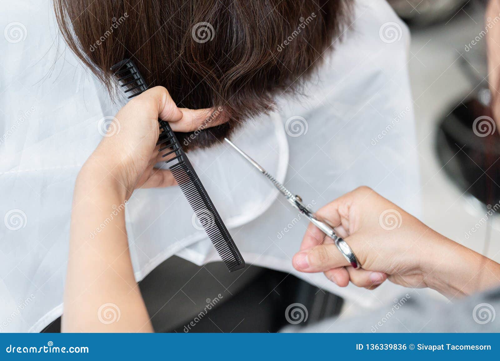 Female hair cutting stock photo. Image of like, female 136339836