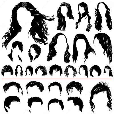 Women and men hair vector stock vector. Illustration of vector - 3930353