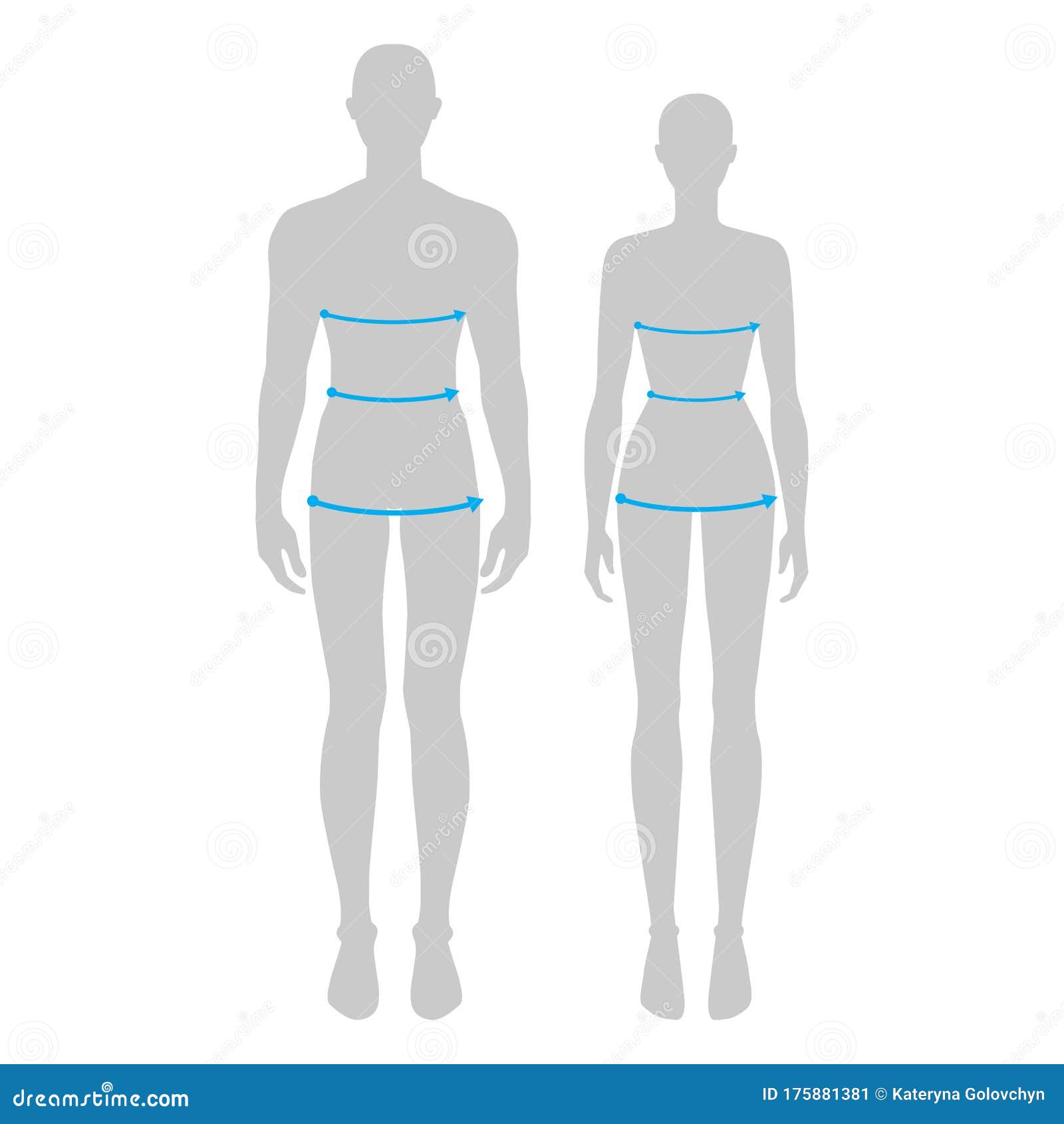 Woman Female Body Measurement Proportions Stock Illustrations – 24 Woman  Female Body Measurement Proportions Stock Illustrations, Vectors & Clipart  - Dreamstime