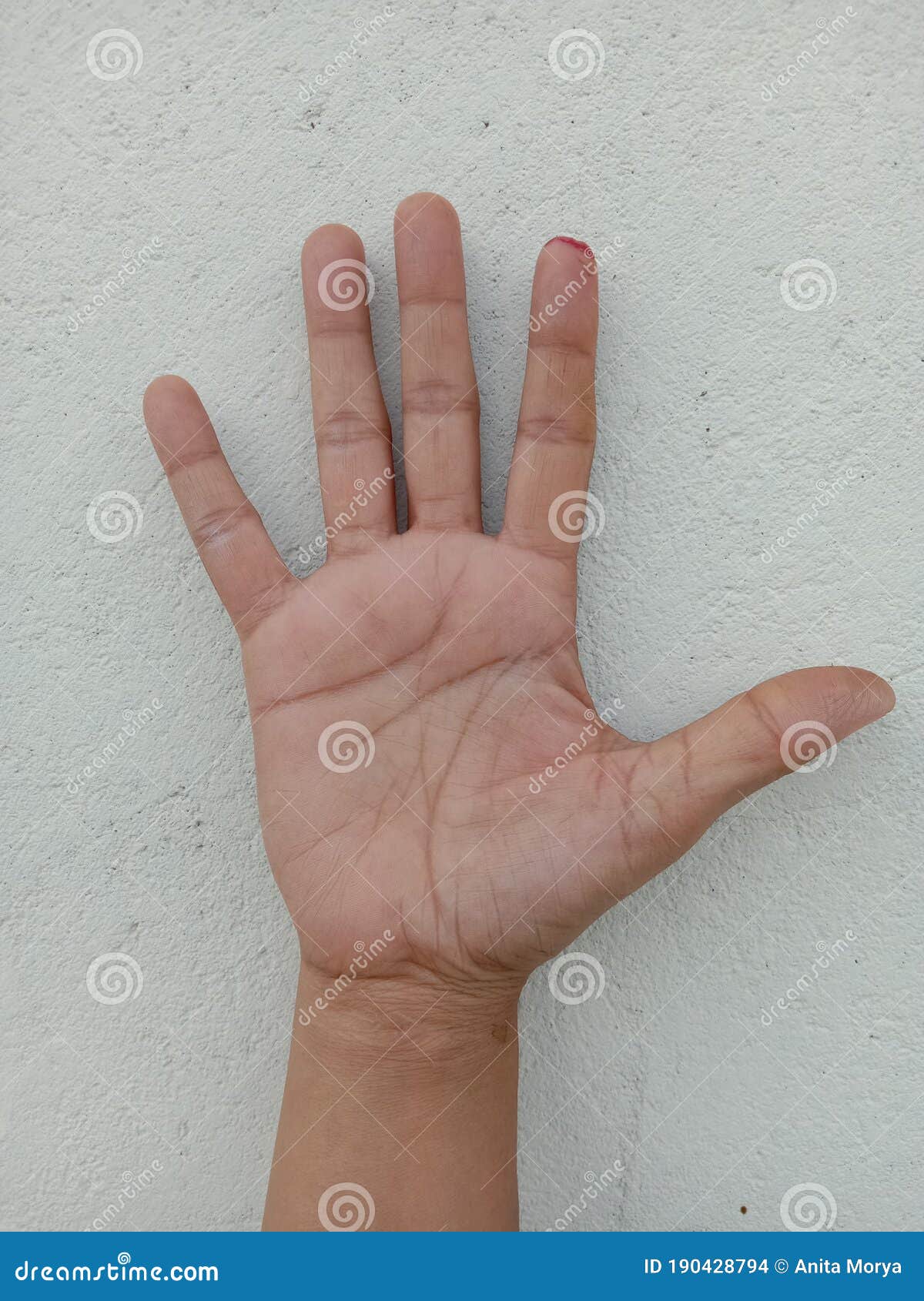 Women palm astrology stock photo Image of dish advisor 190428794 Women palm astrology stock photo Image of dish advisor 190428794