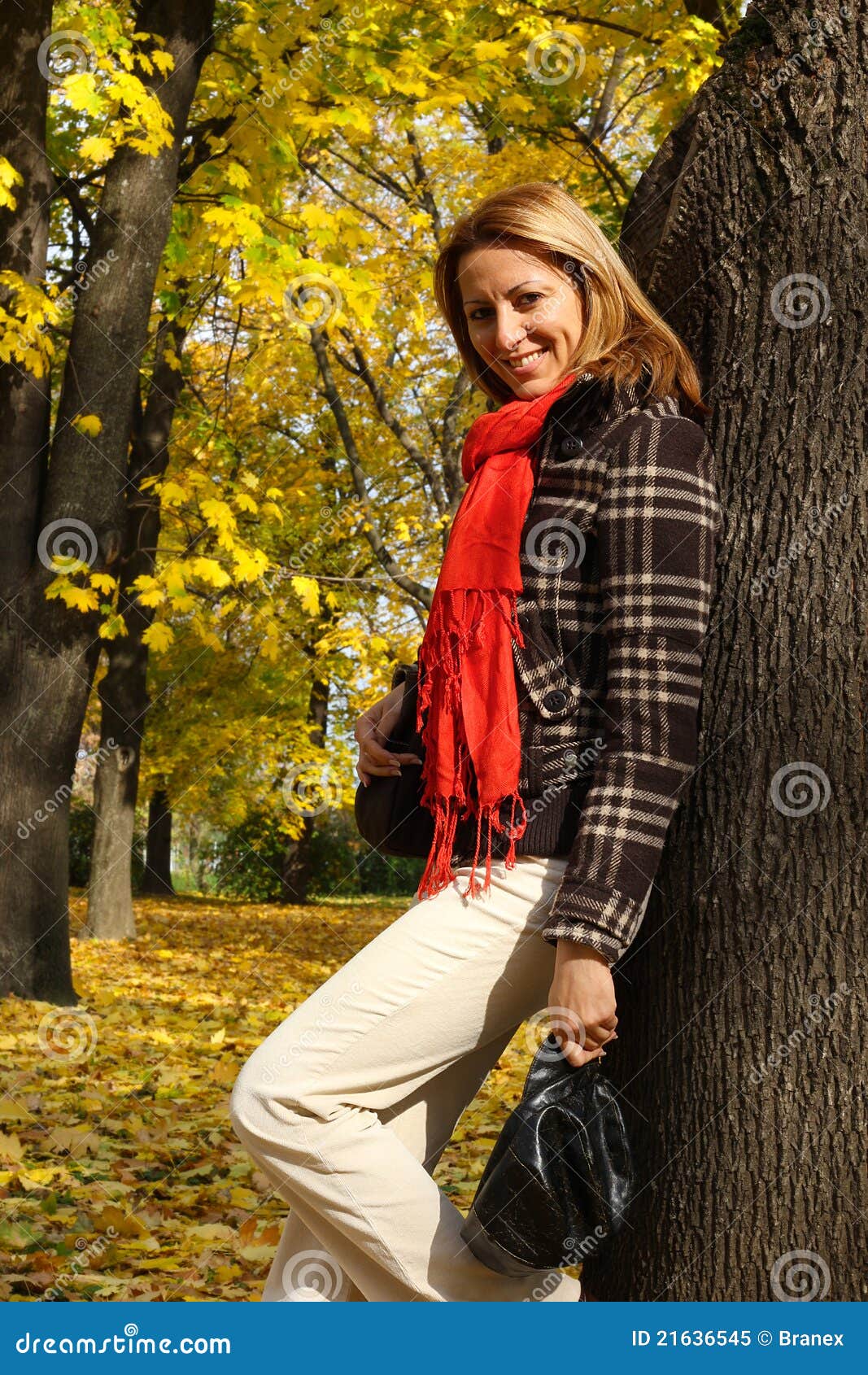 Women in park stock image. Image of pretty, fall, colors - 21636545